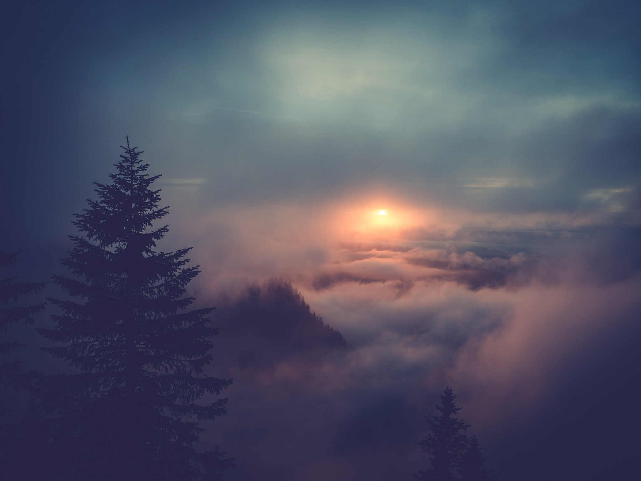 Sunset over clouds in a German mountain forest HD Wallpaper