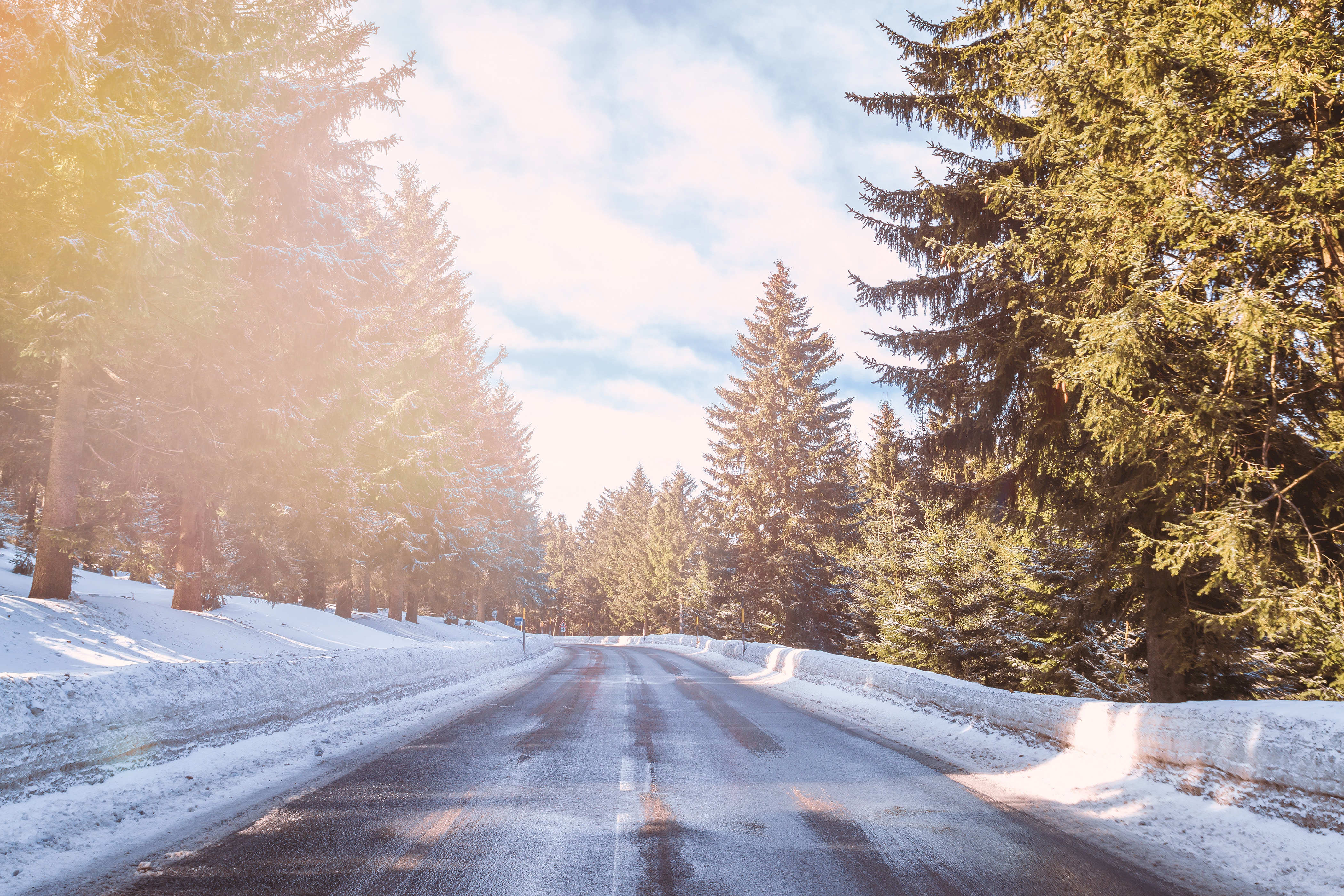 Winter road through a snowy forest with sunlight HD Wallpaper