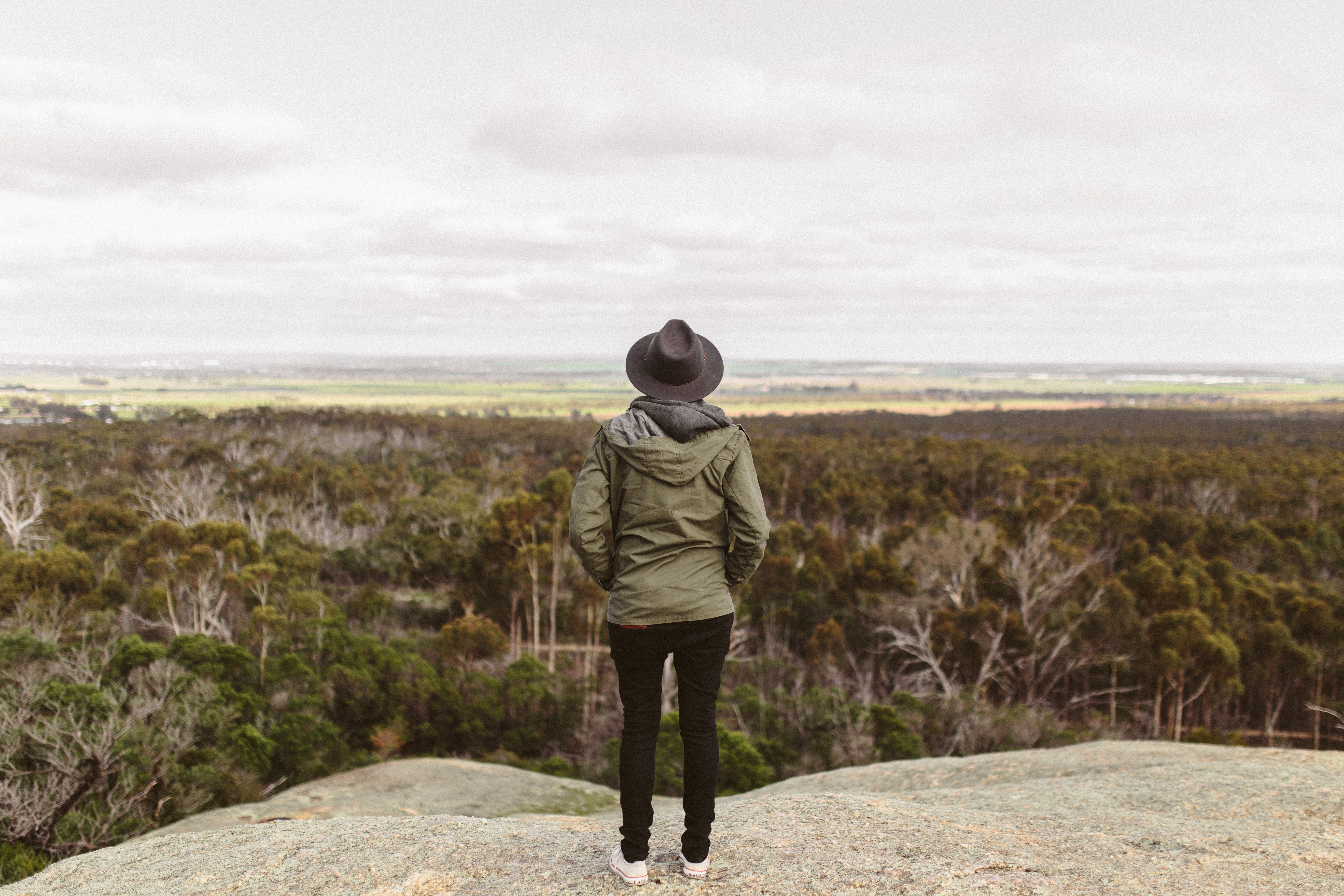 Person in hat and jacket looking over forest landscape HD Wallpaper