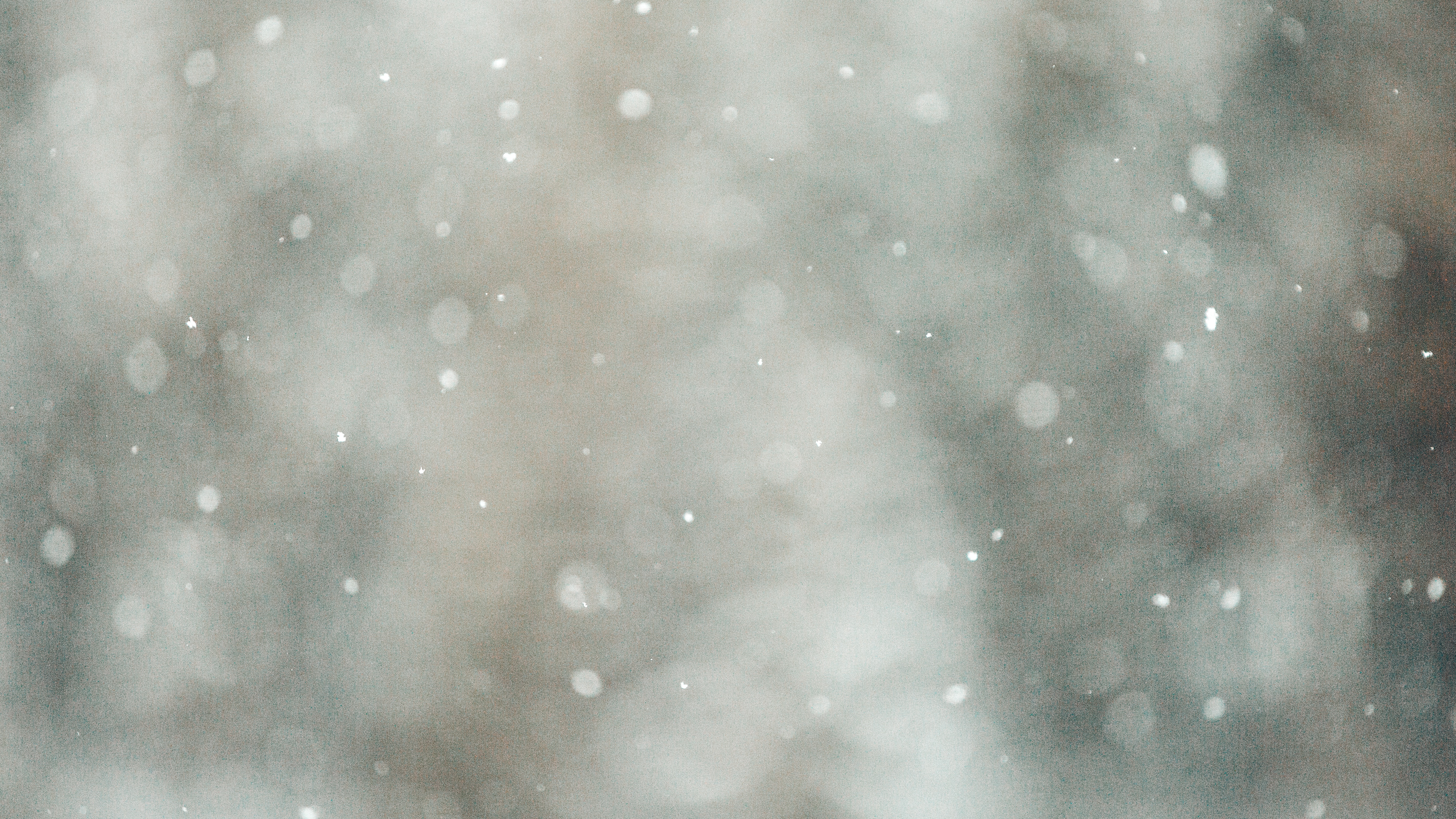 Snowfall with bokeh effect in nature HD Wallpaper