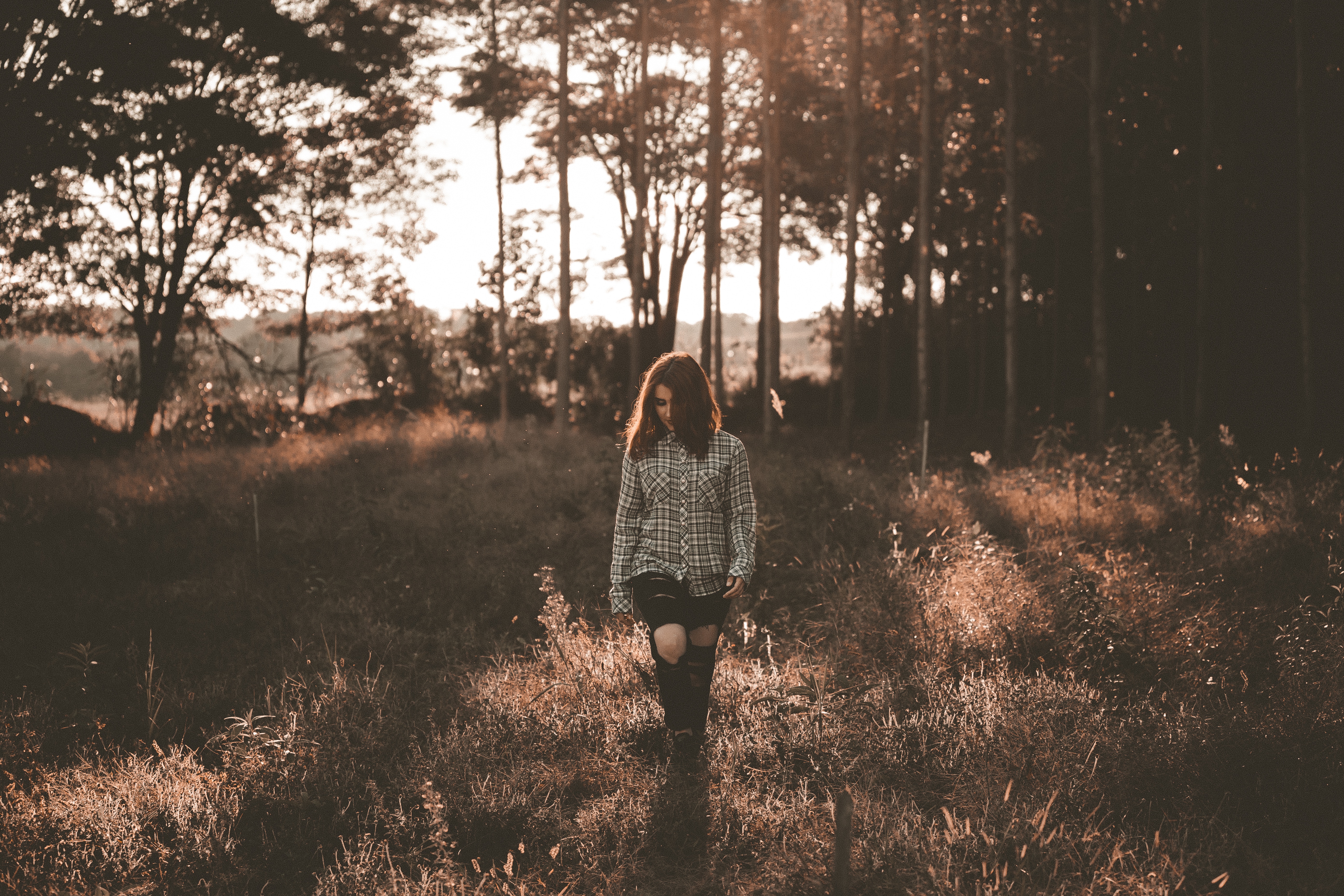 Woman in plaid shirt walking in a sunlit forest HD Wallpaper