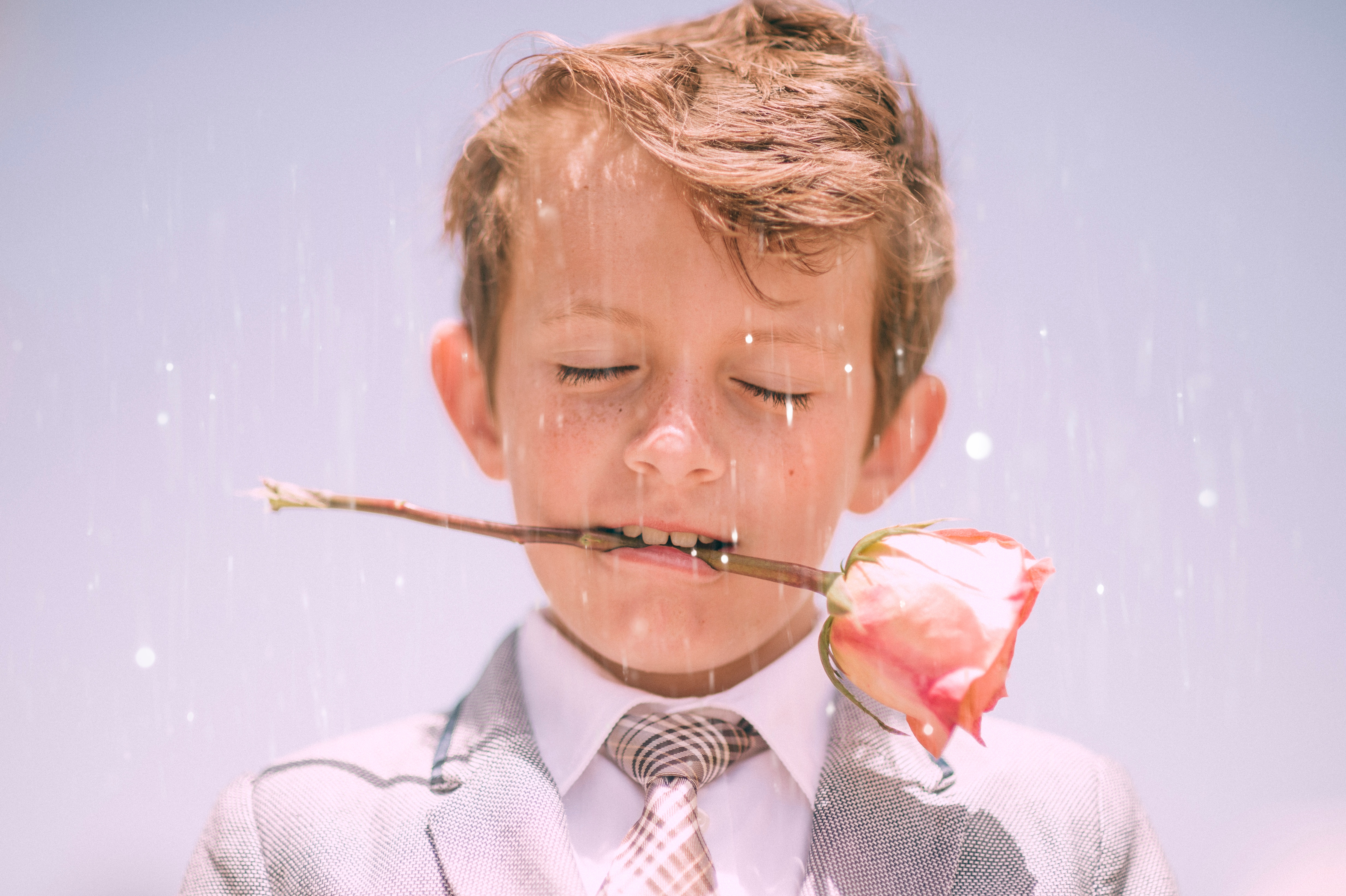 Boy in a suit holding a rose in his mouth HD Wallpaper