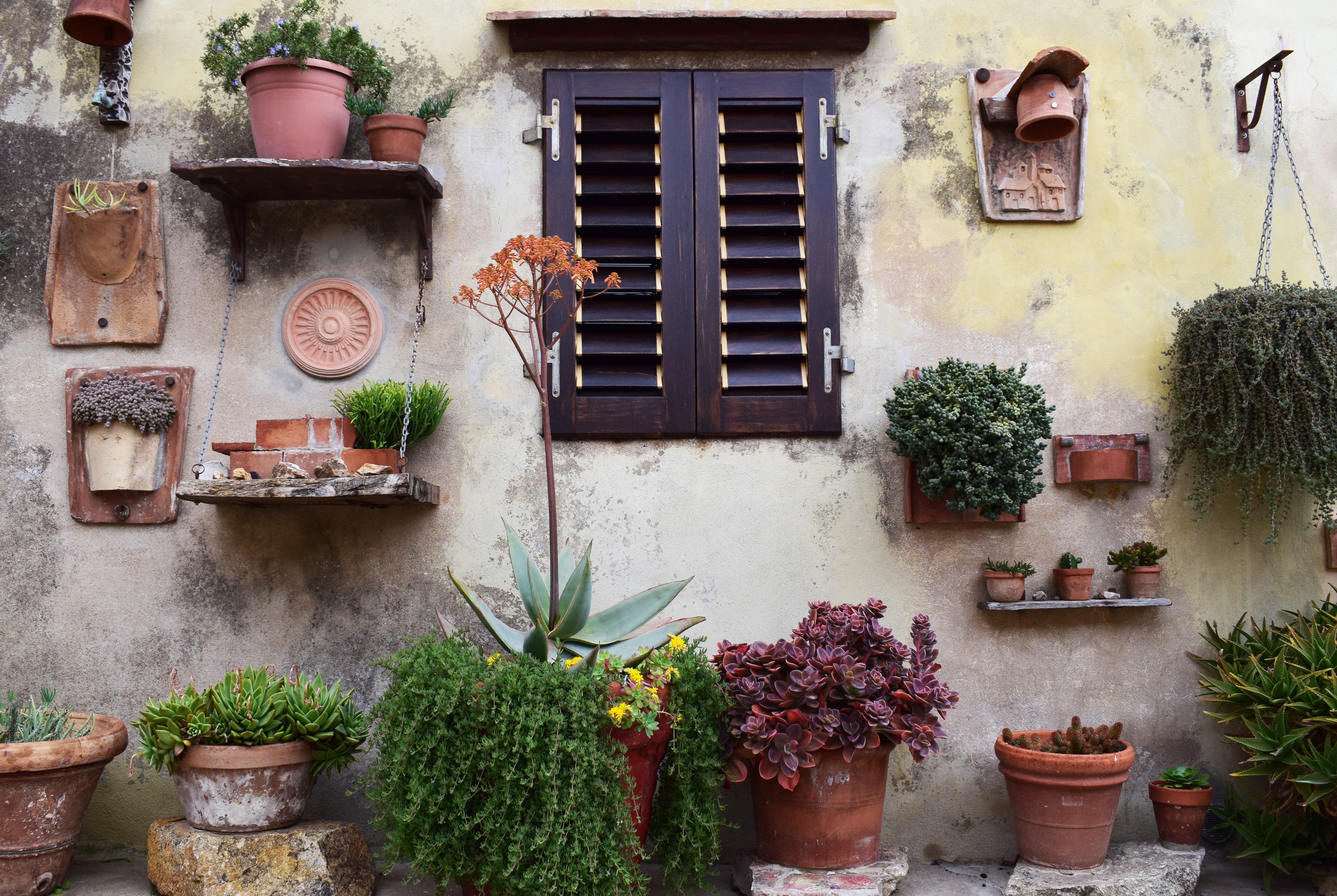 Rustic courtyard with potted plants and a wooden window HD Wallpaper