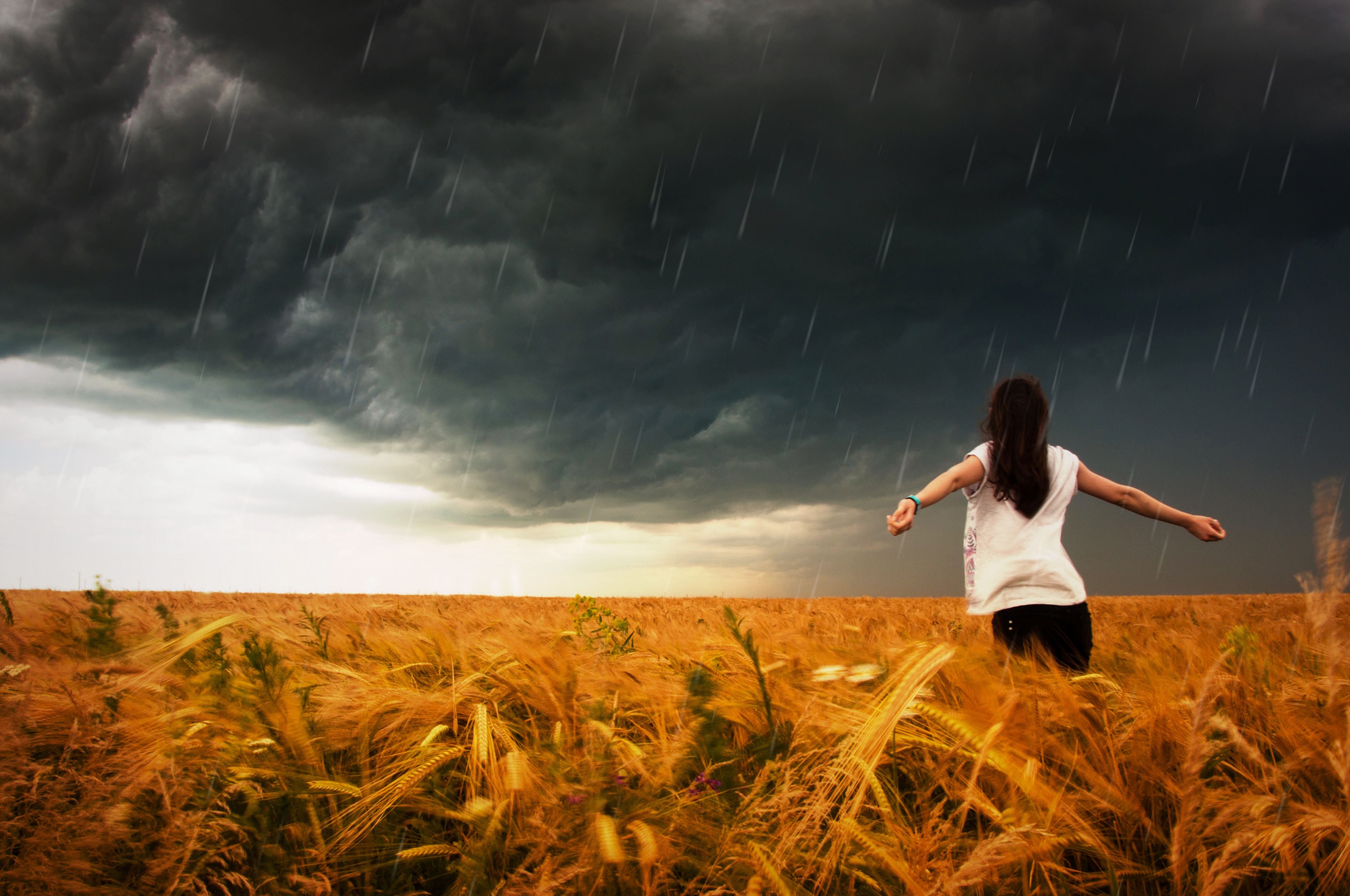 Girl in wheat field during a thunderstorm HD Wallpaper