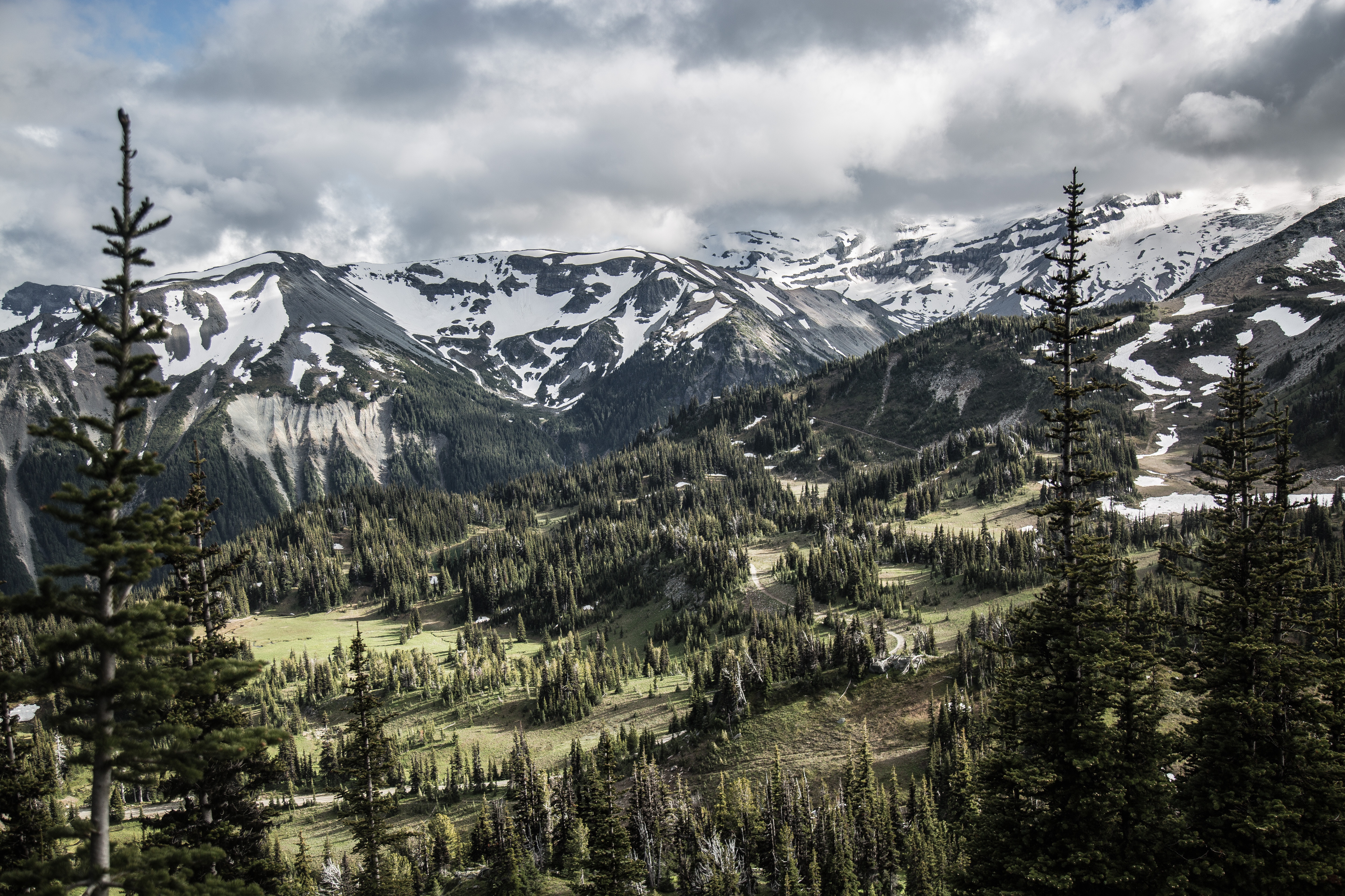 Snow-covered mountains and evergreen forest in Switzerland HD Wallpaper