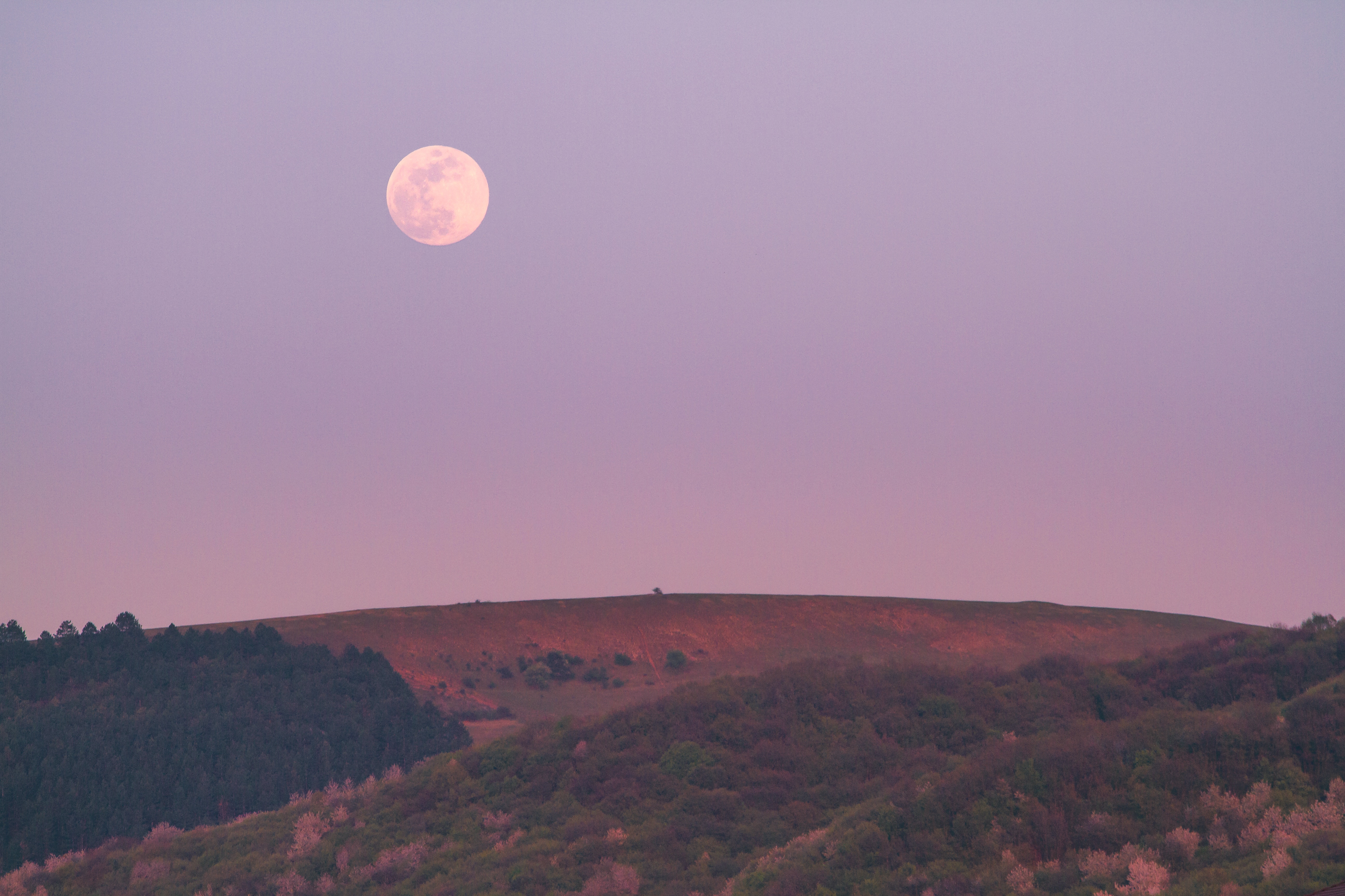 Full moon over rolling hills at sunset HD Wallpaper