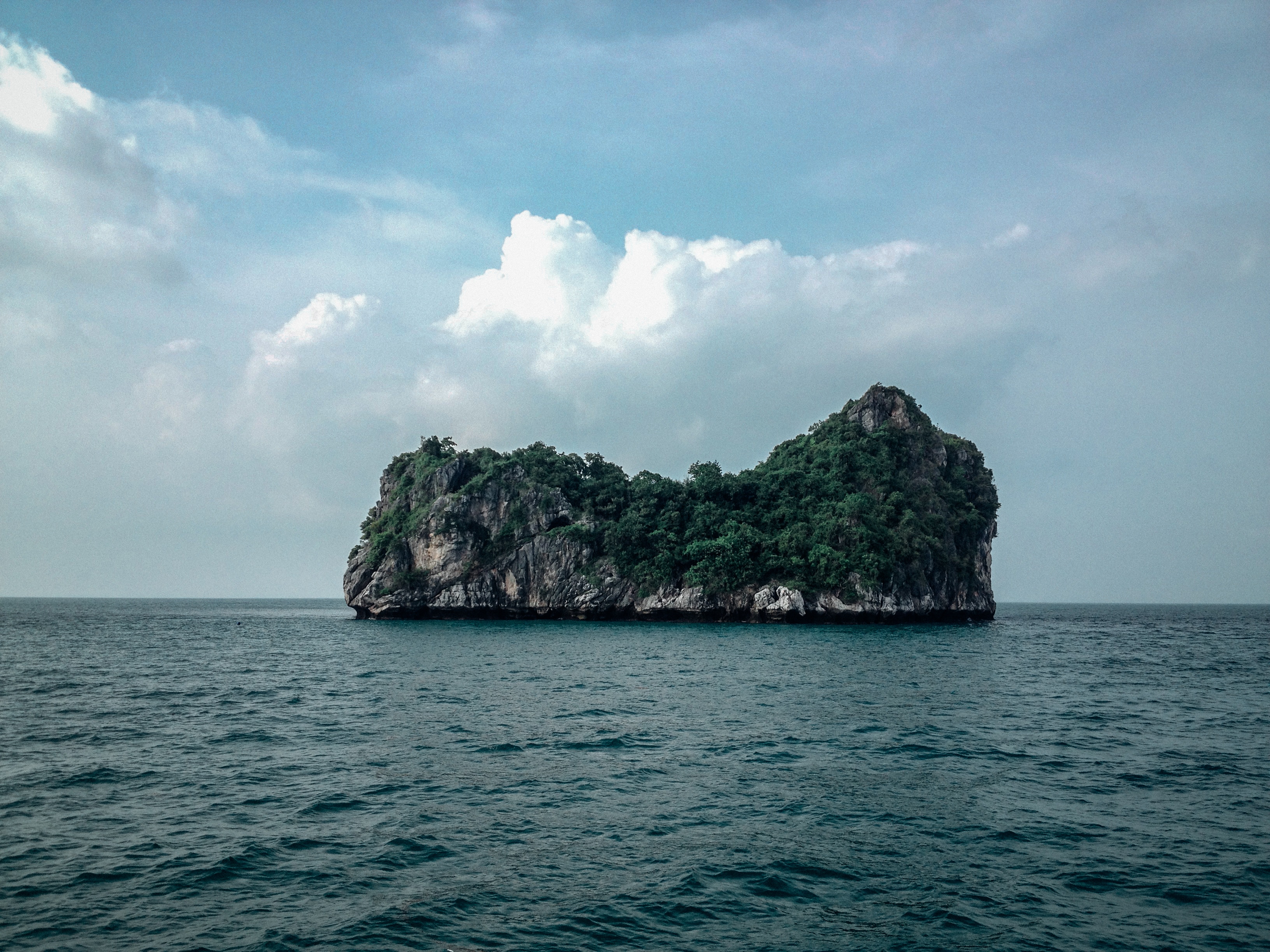 Rocky island covered in trees in the ocean HD Wallpaper