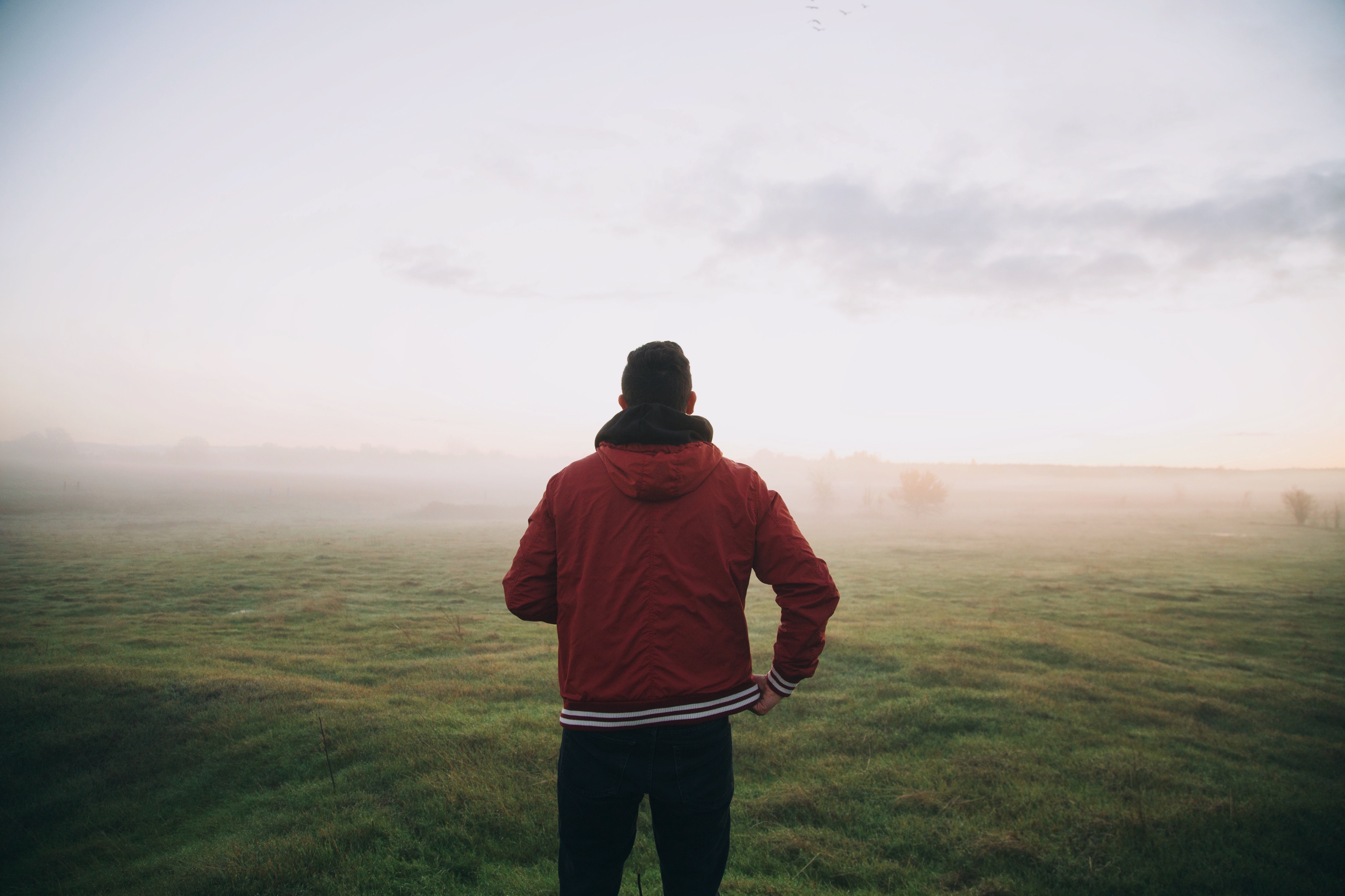 Man in red jacket standing in a foggy field HD Wallpaper