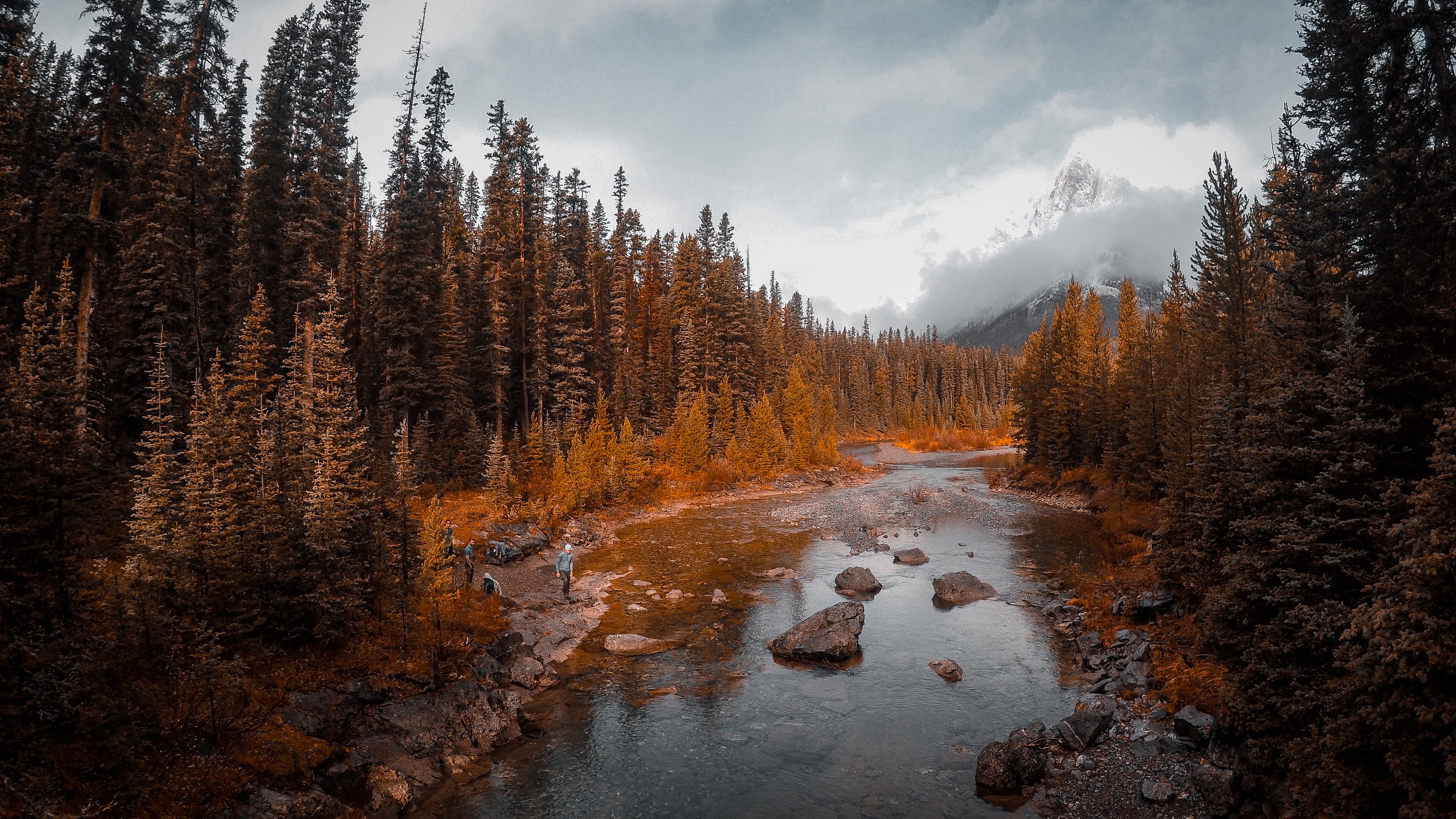 River flowing through an autumn forest with mountains HD Wallpaper