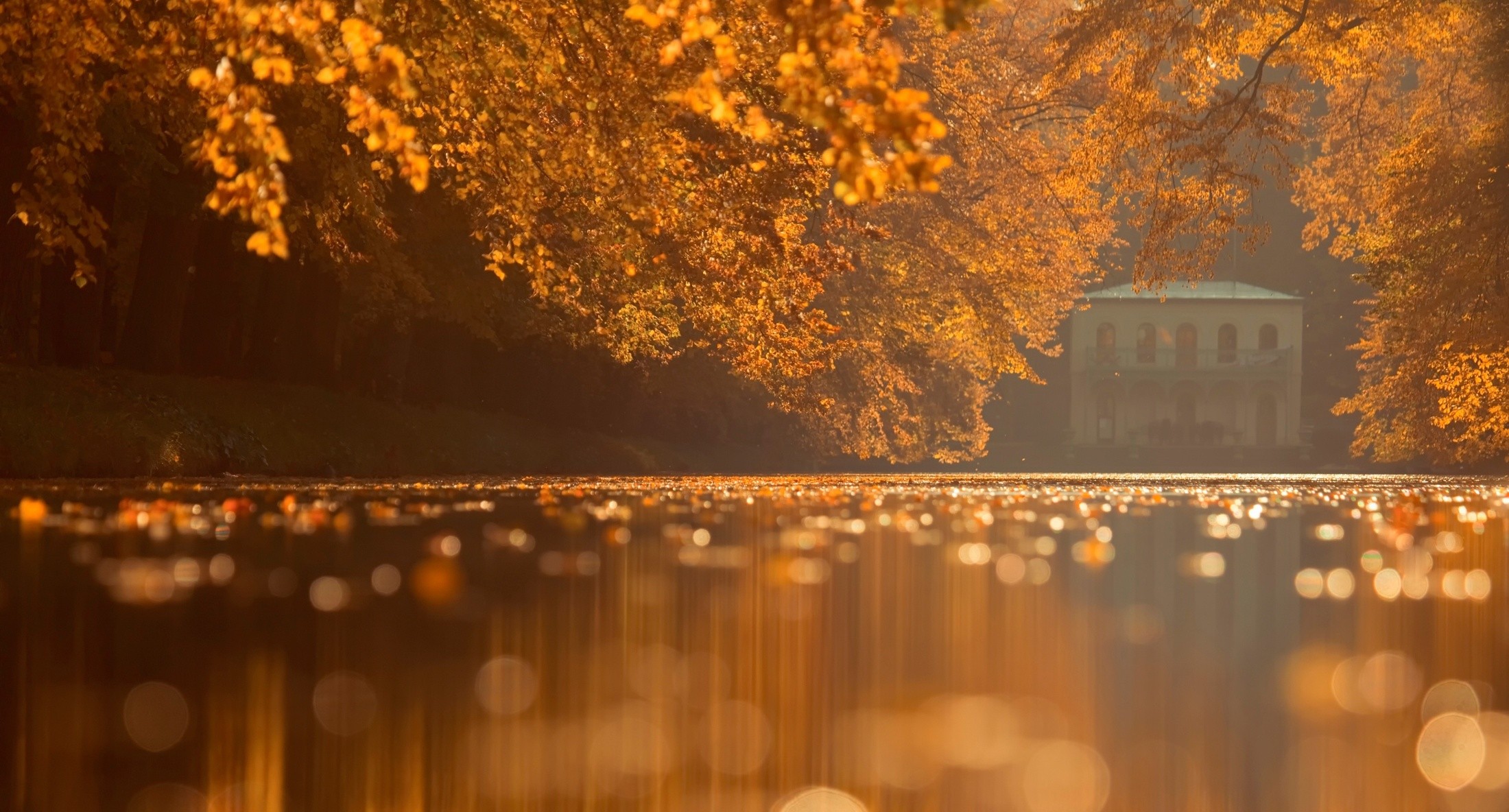 Autumn trees reflecting in a lake with a building HD Wallpaper
