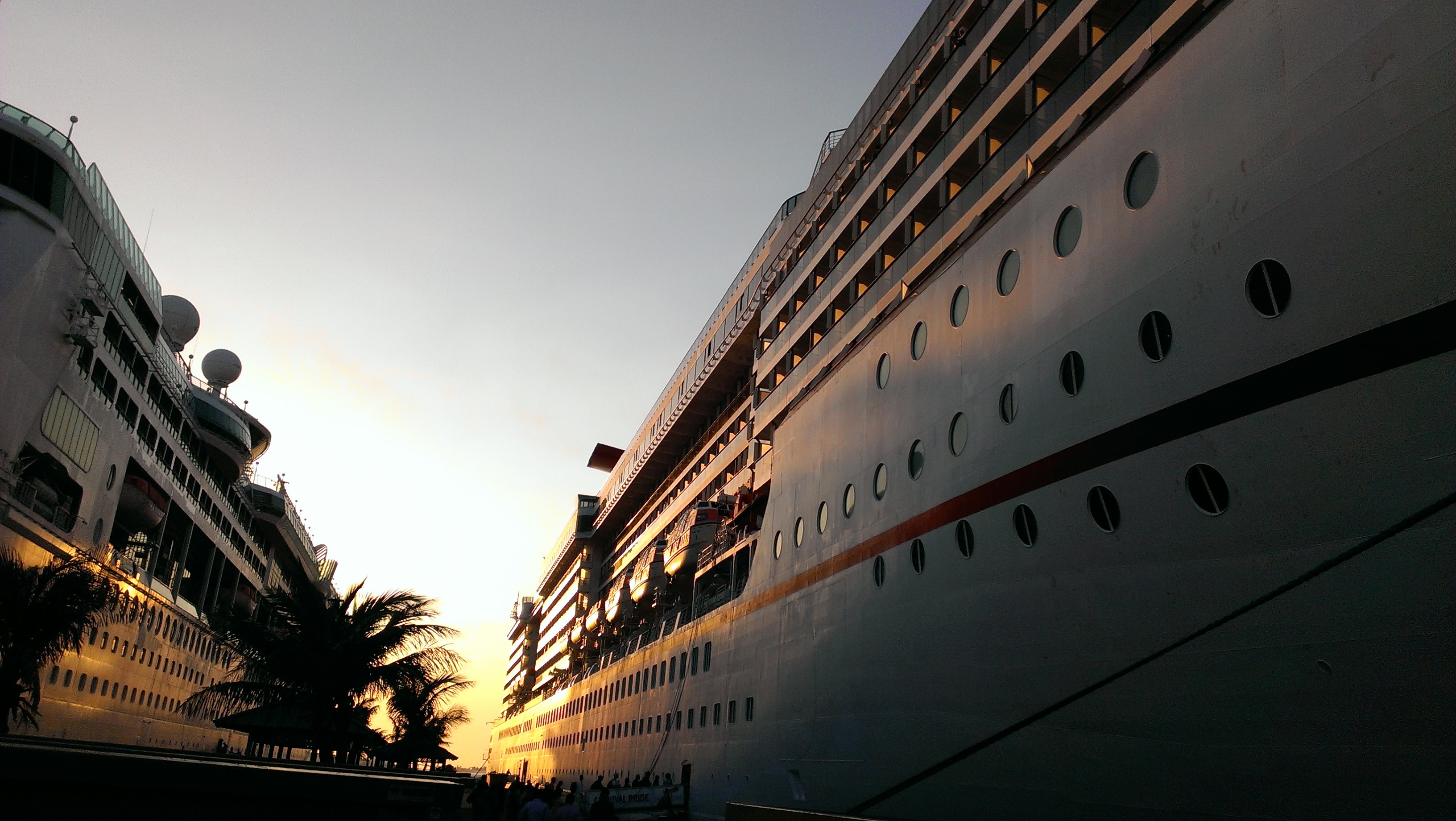 Two cruise ships docked at sunset with palm trees HD Wallpaper