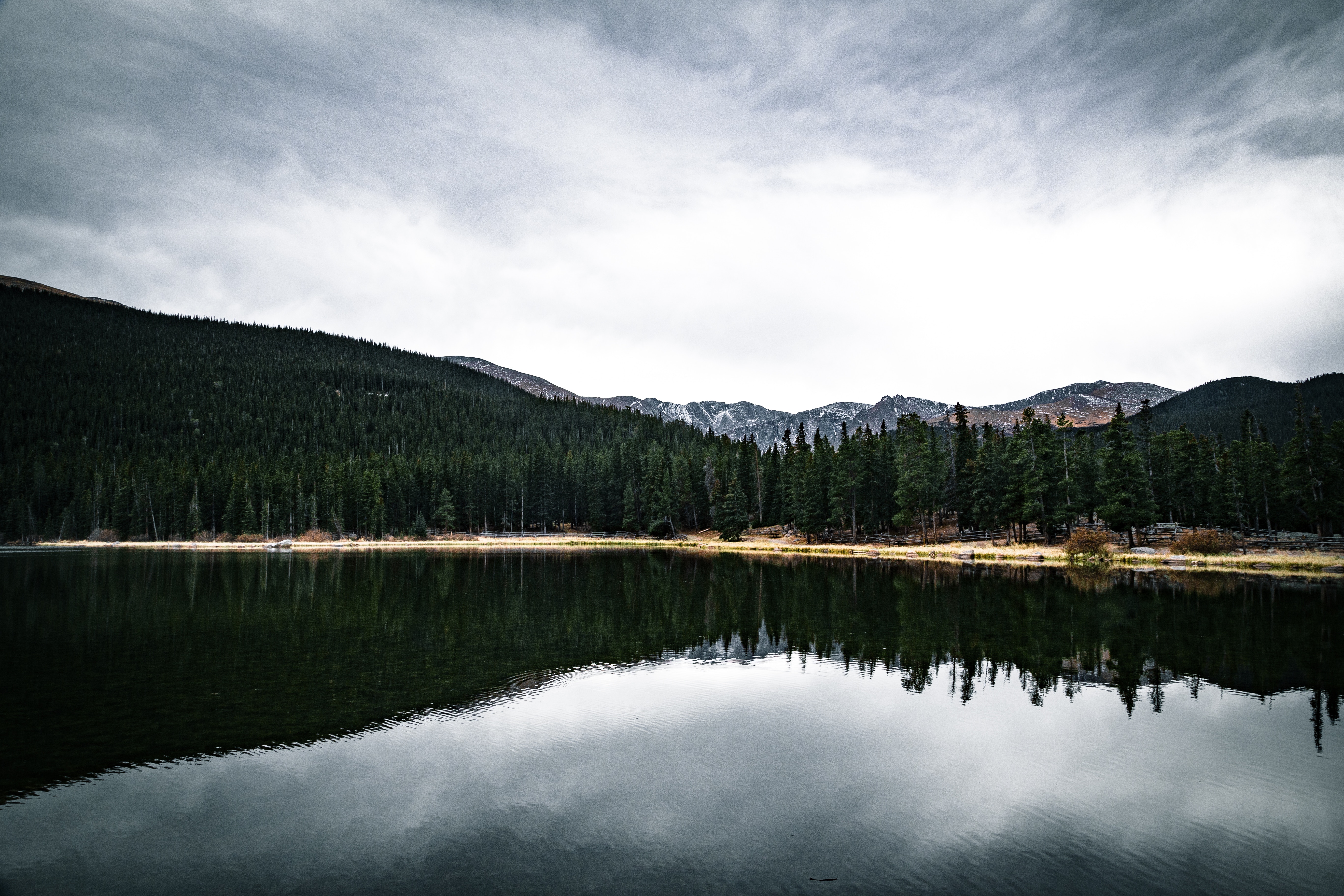 Pine forest reflecting in a calm lake with mountains HD Wallpaper