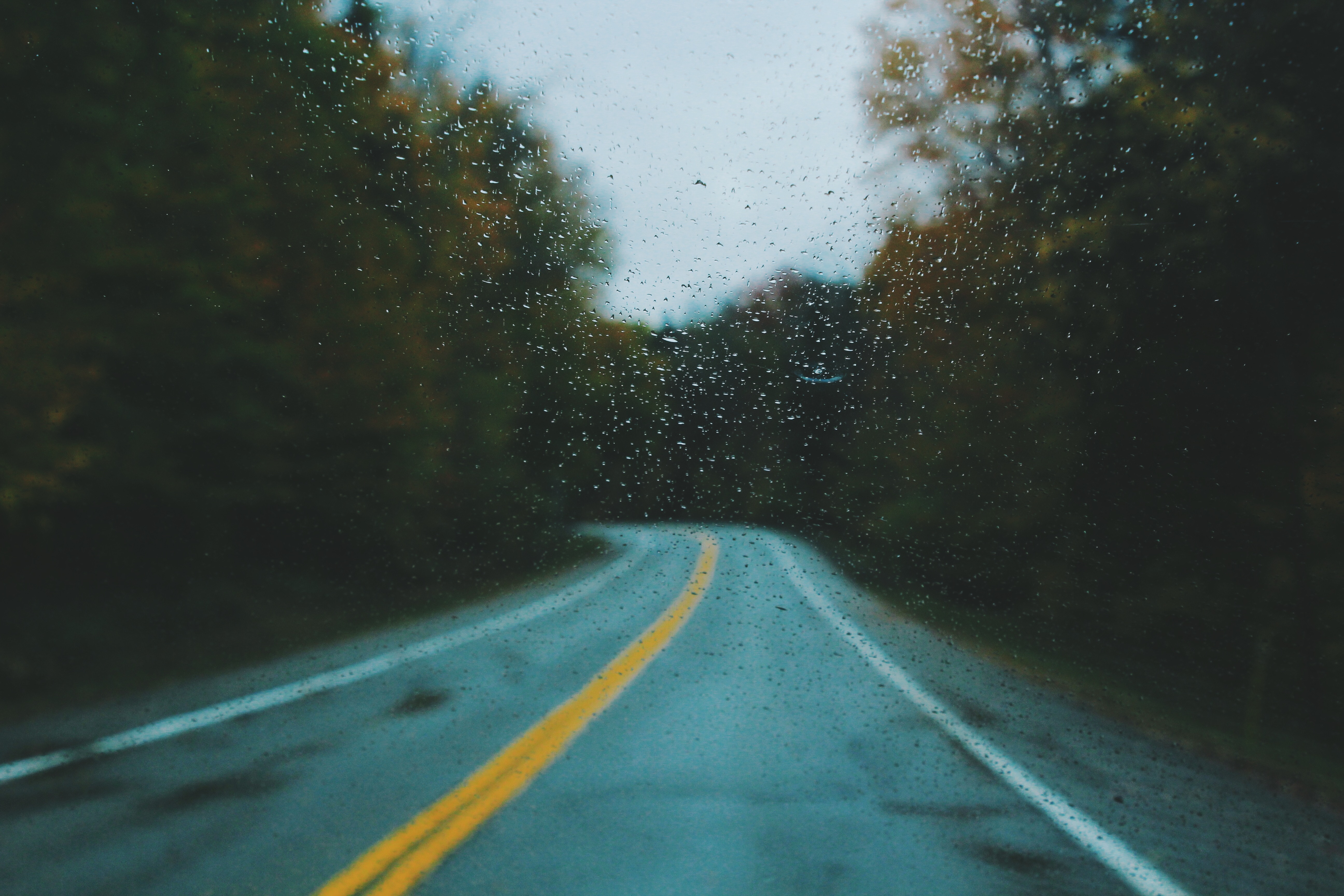 Rainy road through a forest HD Wallpaper