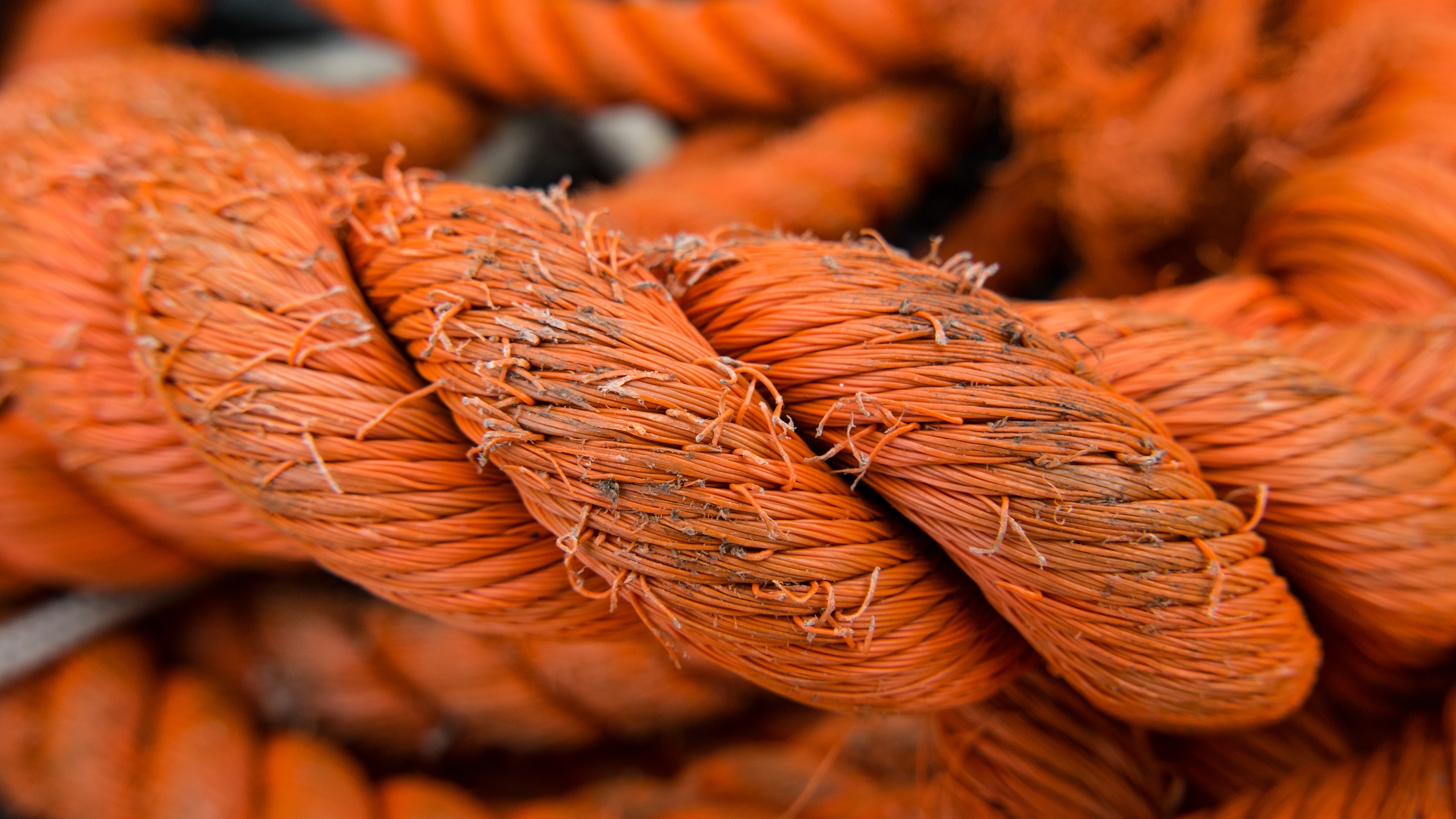 Close-up of a thick, frayed orange rope HD Wallpaper