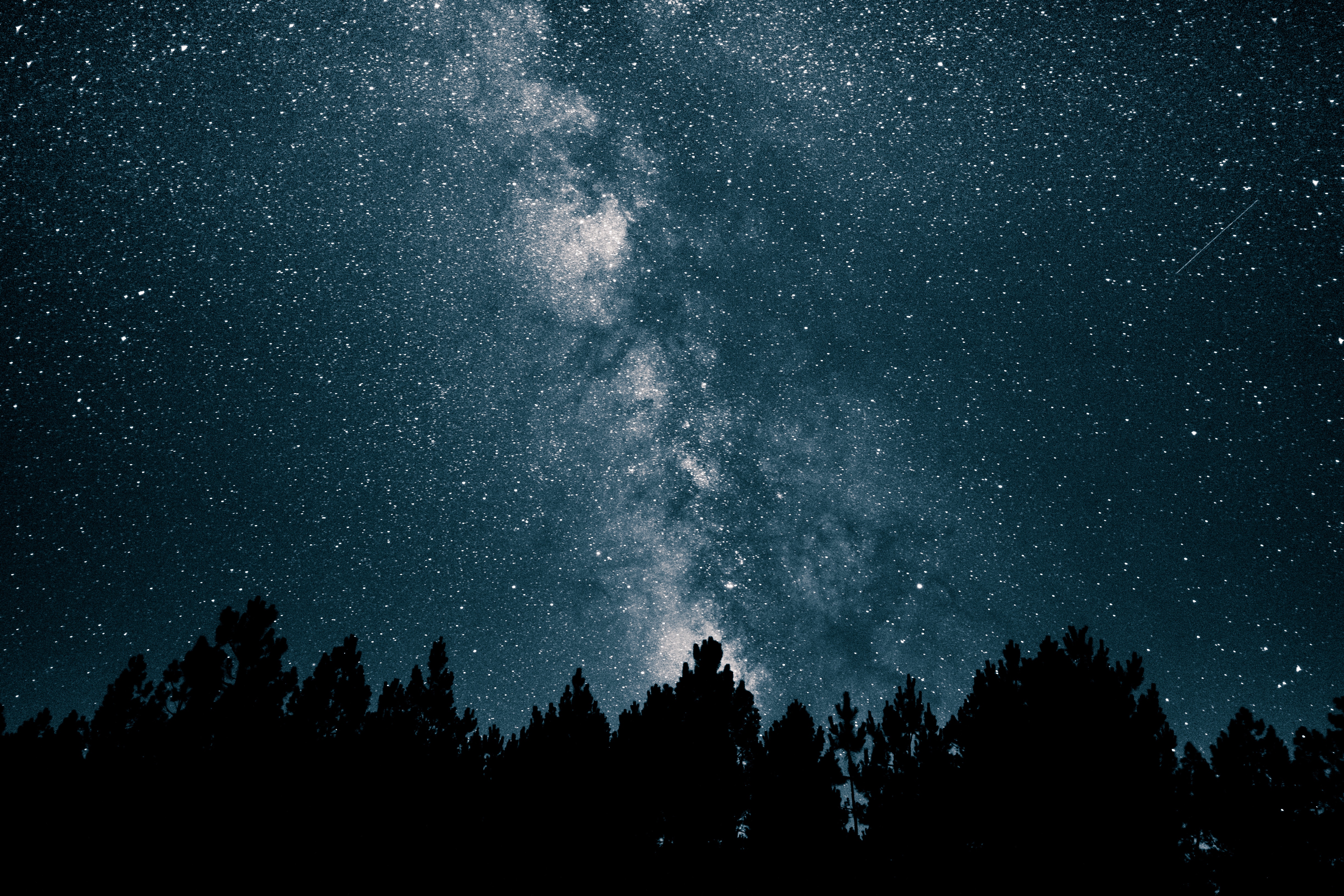 Milky Way over silhouetted trees at night HD Wallpaper
