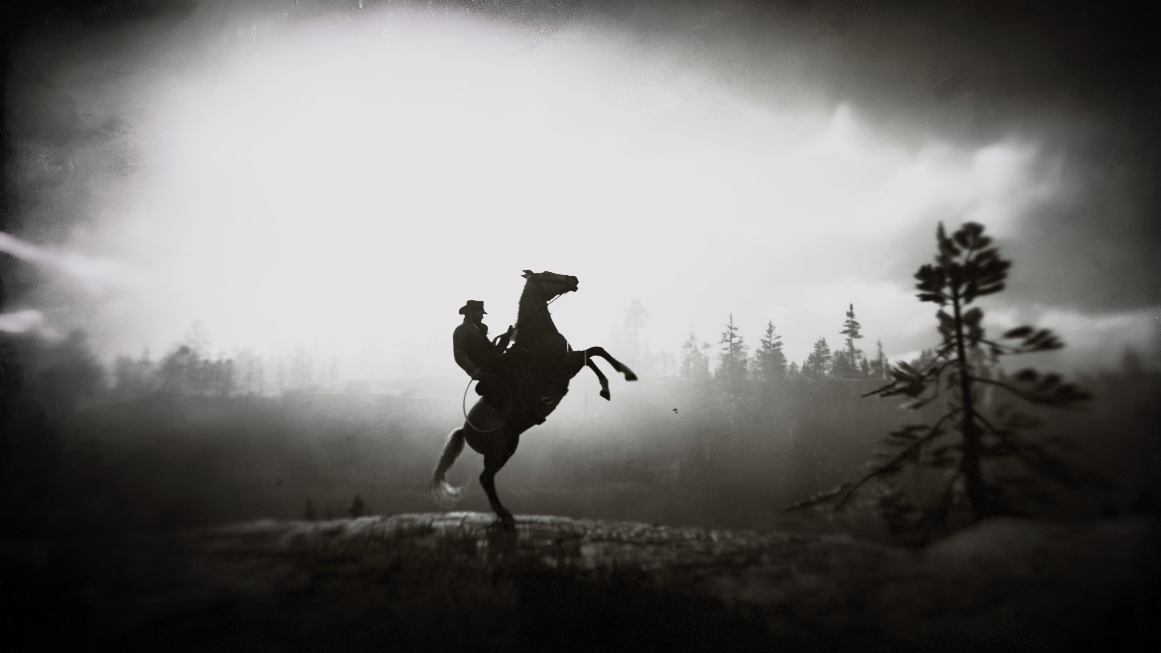 Cowboy on a rearing horse in Red Dead Redemption 2 HD Wallpaper