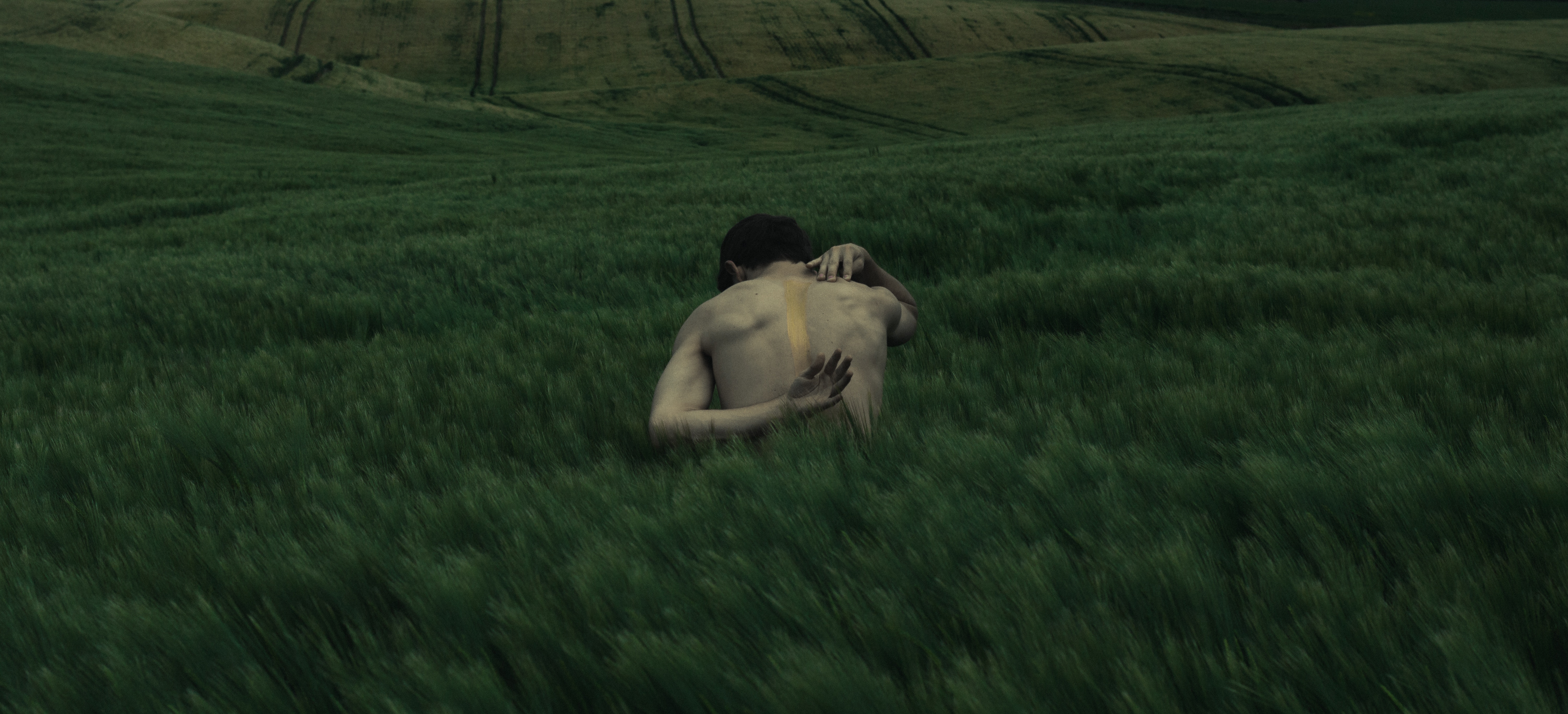 Man in a green field with yellow stripe HD Wallpaper