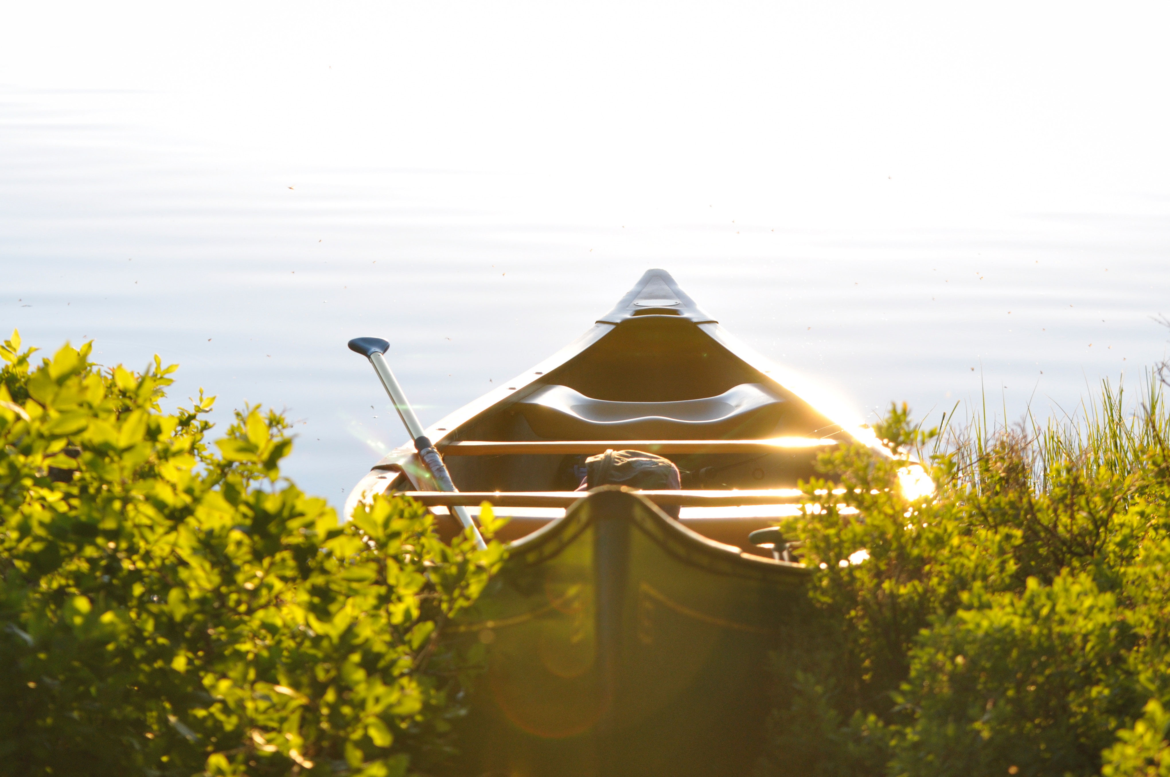 Canoe with Oar on a Sunny Lake Shore HD Wallpaper