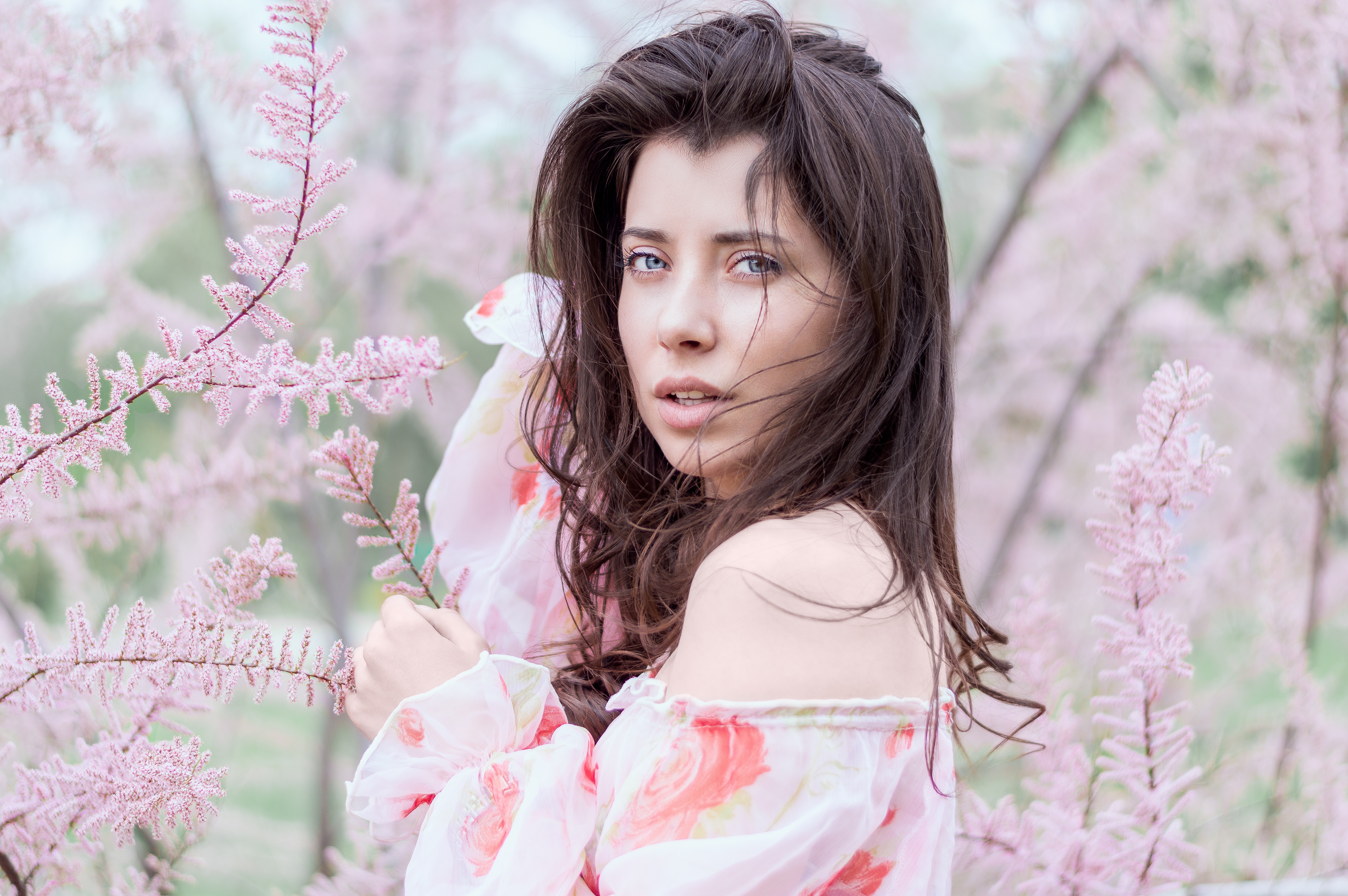 Woman with blue eyes and pink flowers HD Wallpaper