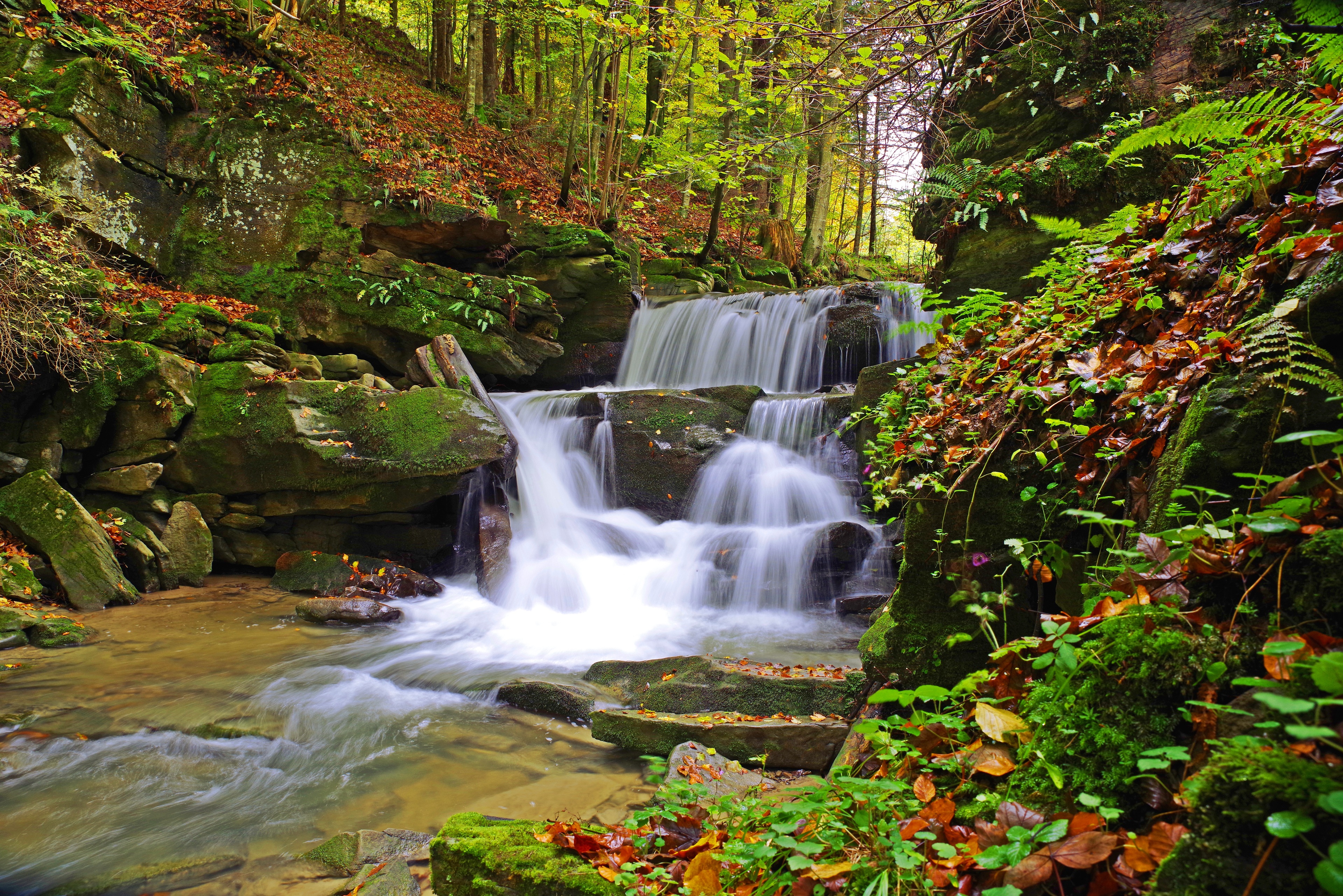 Waterfall in a forest with mossy rocks and autumn leaves HD Wallpaper