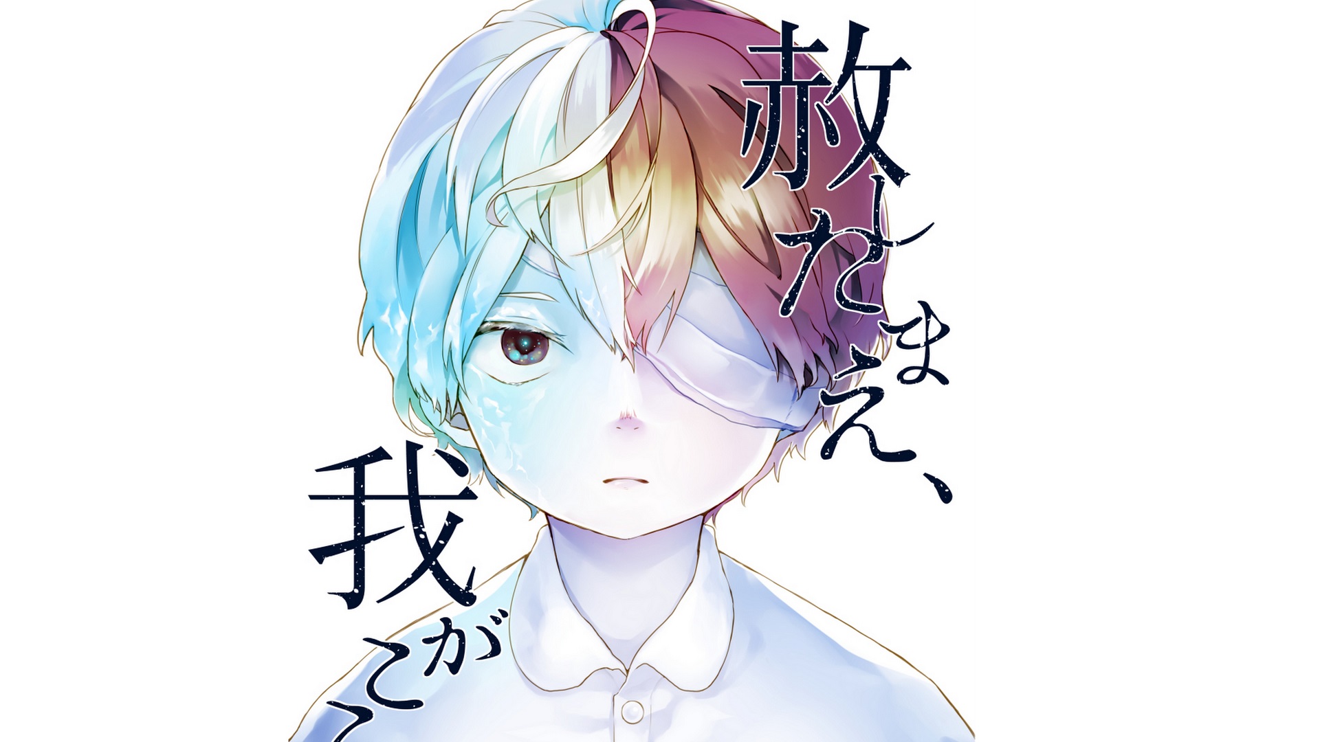 Shouto Todoroki from My Hero Academia HD Wallpaper