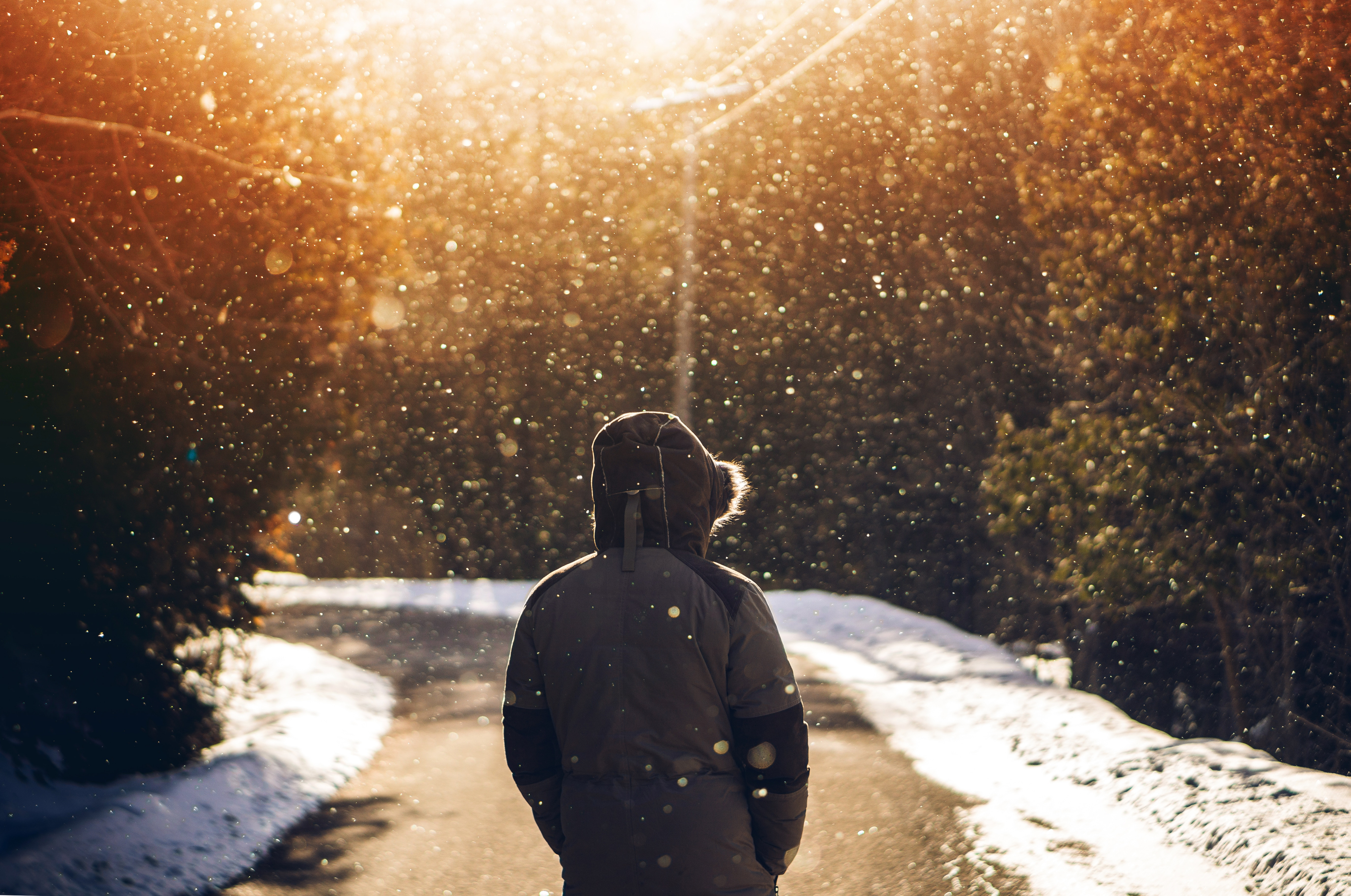 Person in fur-hooded jacket in snowy woods during golden hour HD Wallpaper