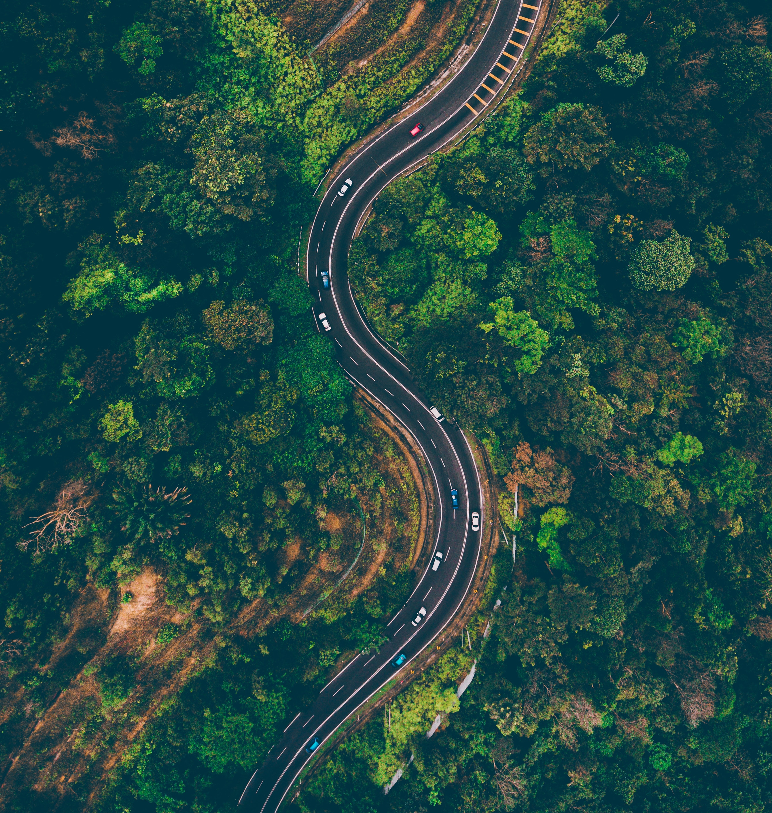 Aerial view of a winding road through a dense forest HD Wallpaper