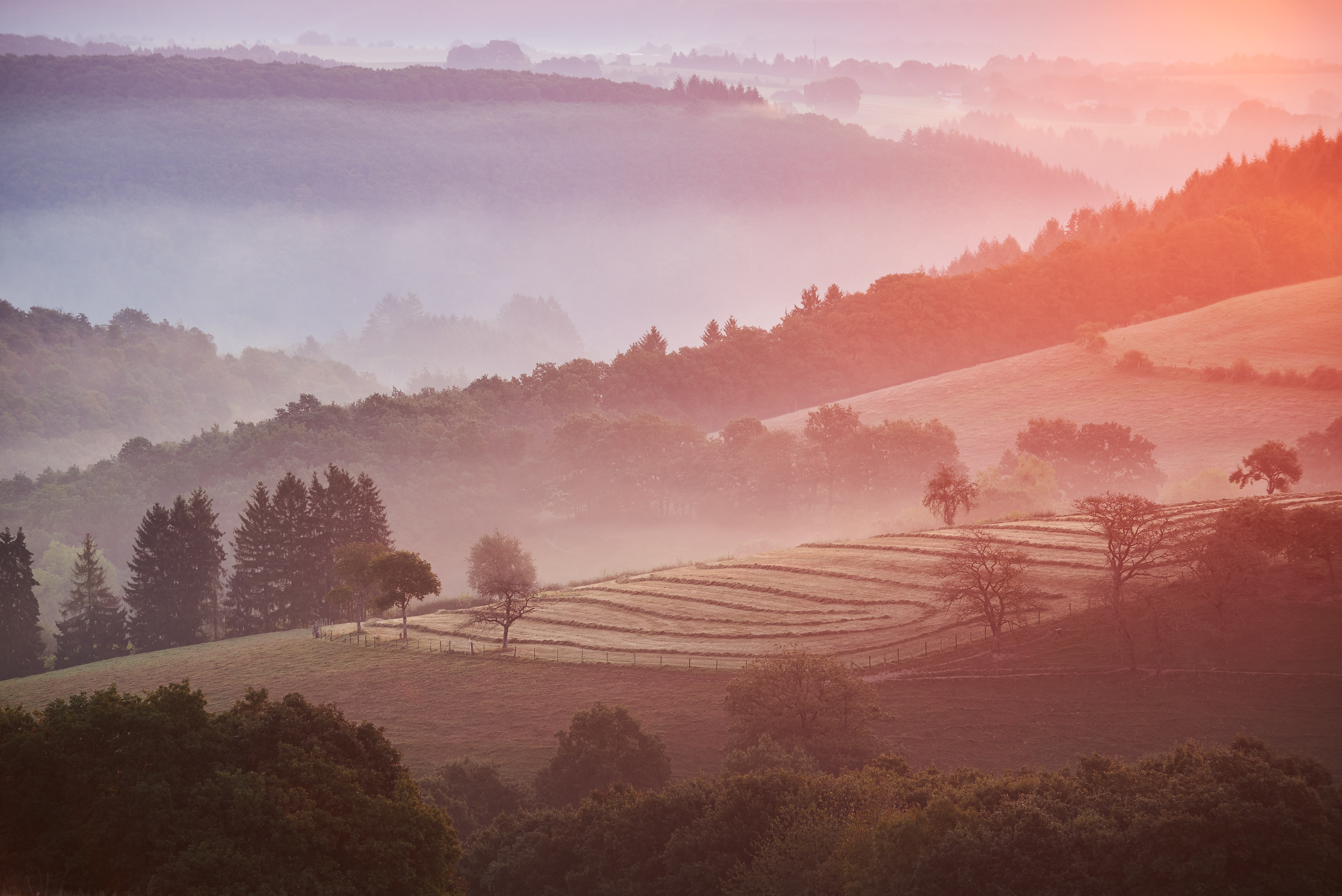 Misty hills at sunrise with colorful haze HD Wallpaper