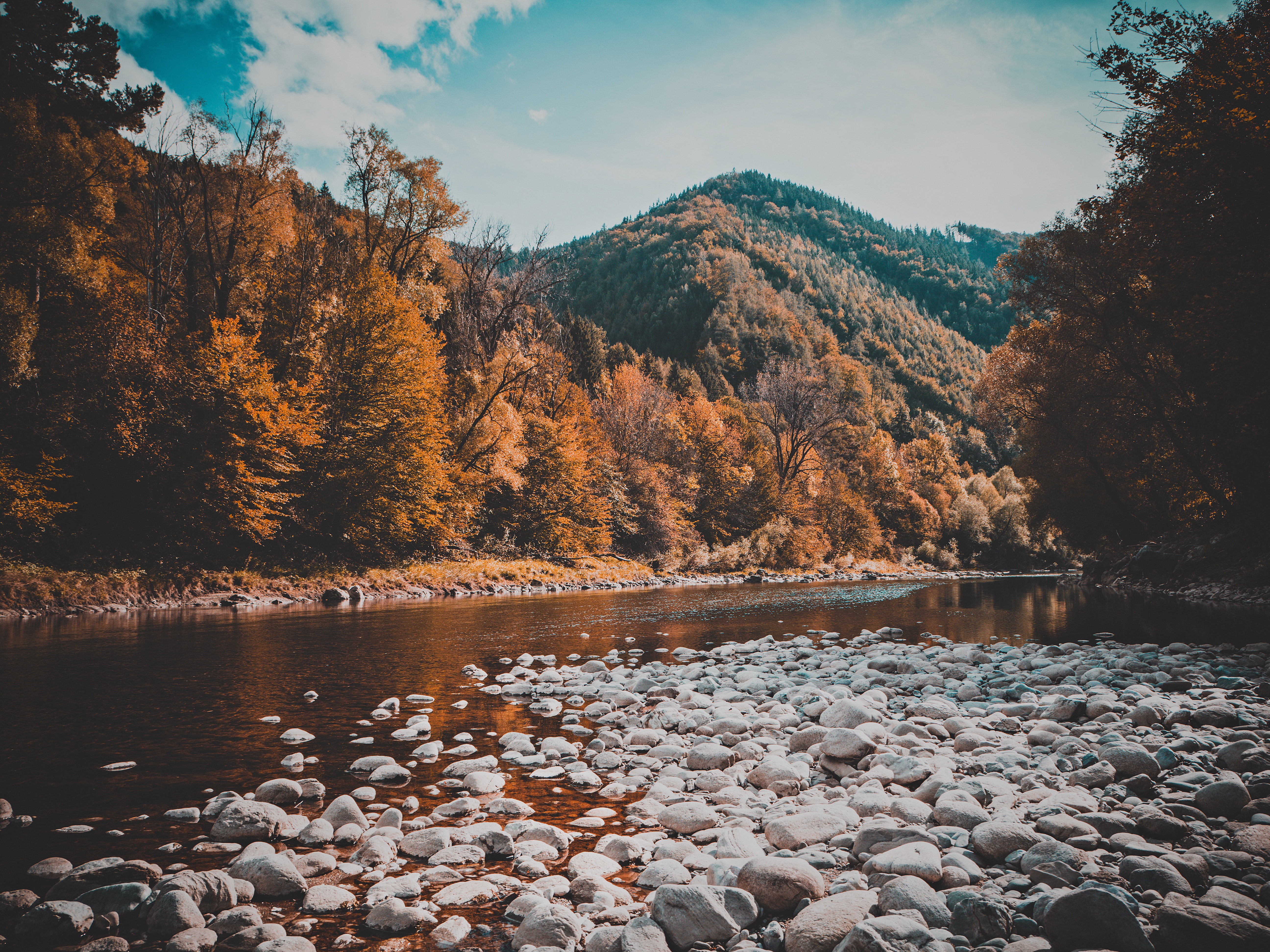 River flowing through a forest with mountains in the background HD Wallpaper