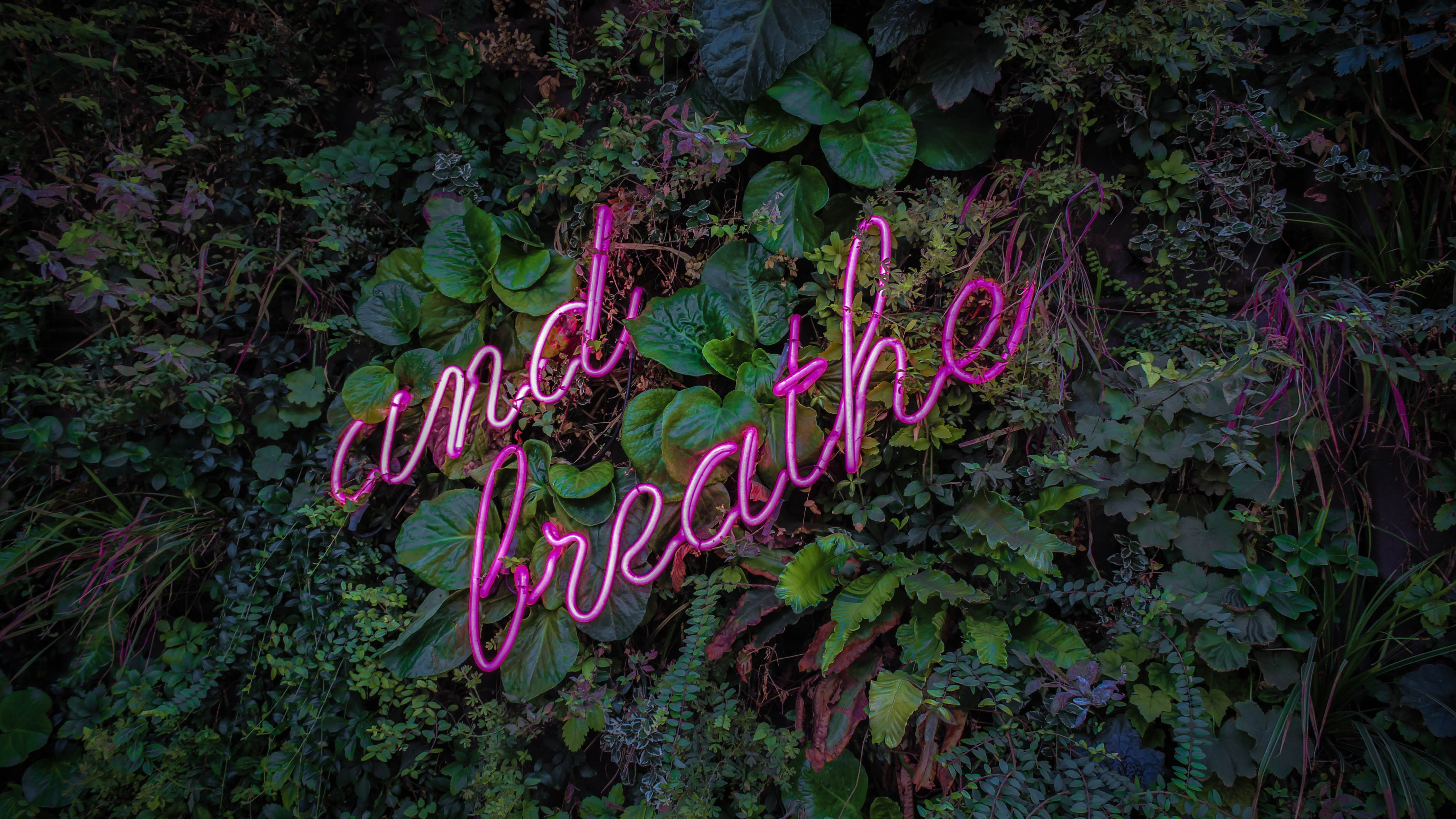 Neon sign that says "and breathe" on a plant wall HD Wallpaper
