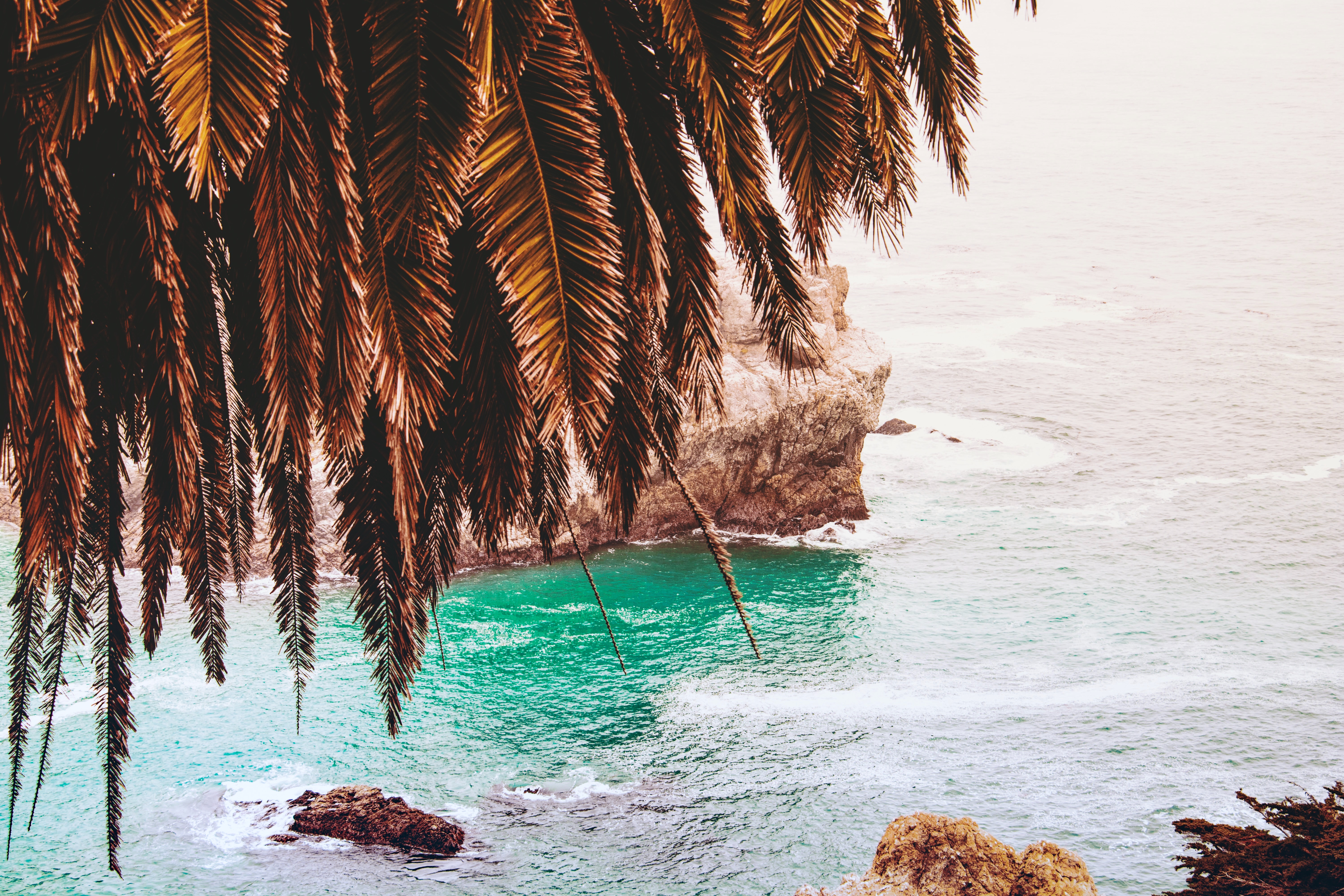 Palm fronds overhang a rocky cove with turquoise water HD Wallpaper
