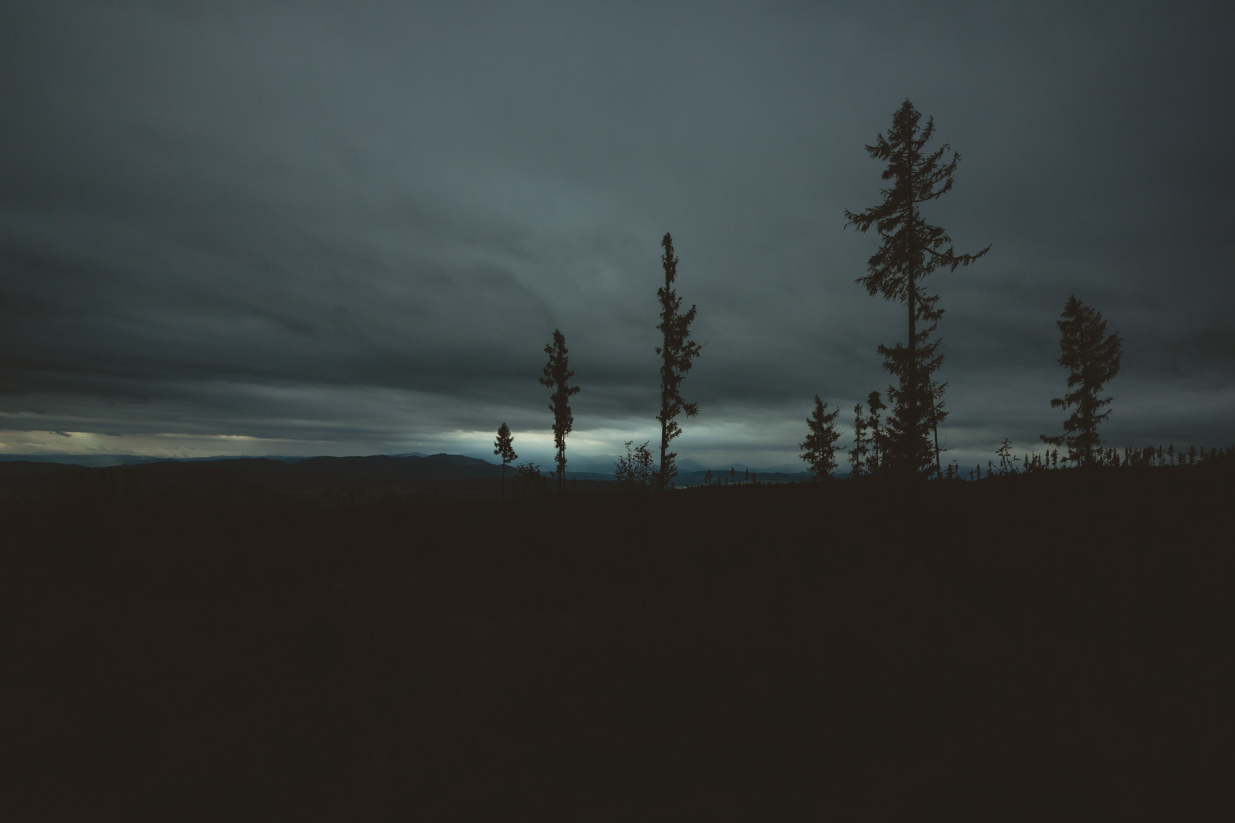 Dark cloudy sky over silhouetted trees and landscape HD Wallpaper