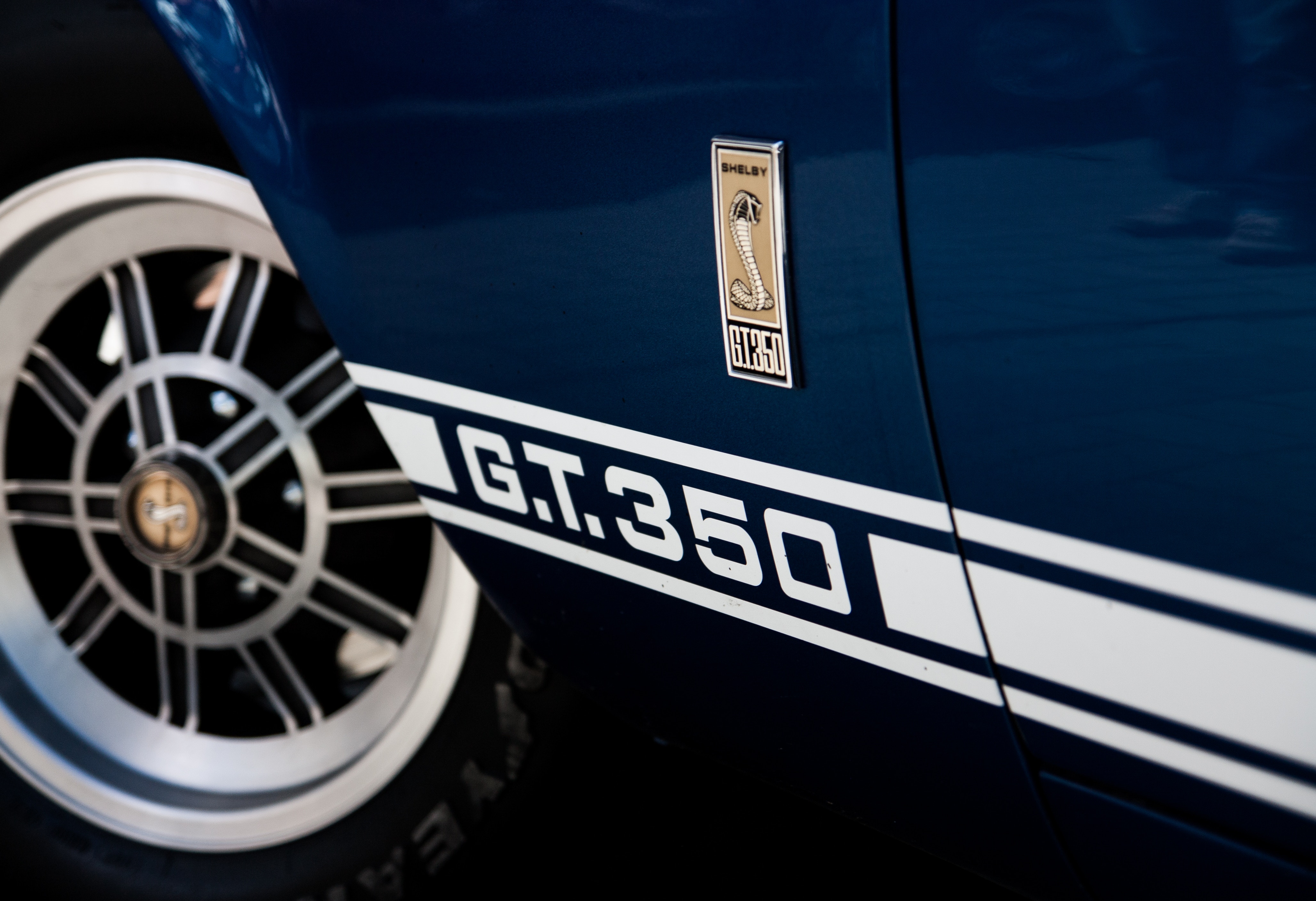 Blue Shelby GT350 Mustang with Cobra Emblem HD Wallpaper