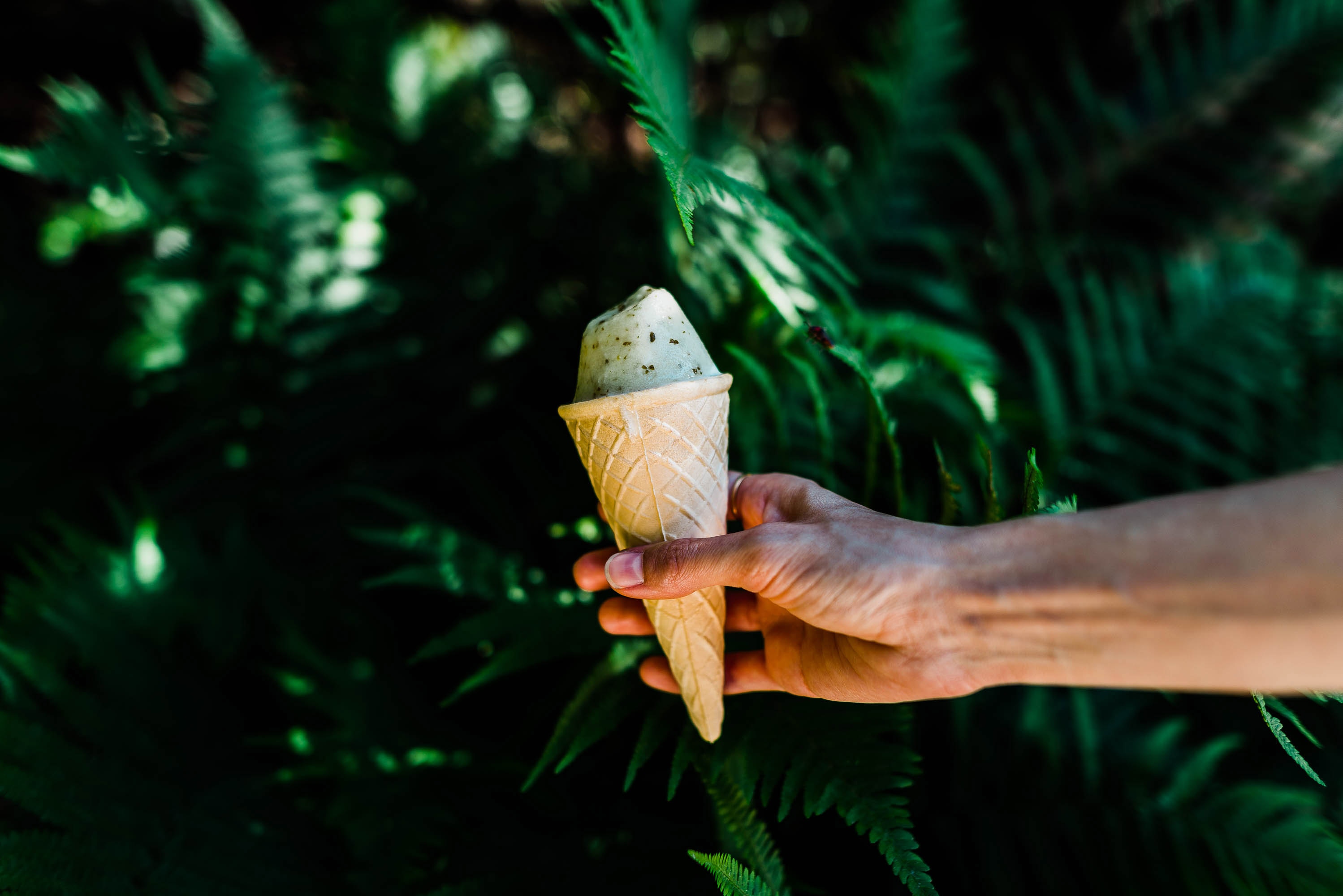 Hand holding mint chocolate chip ice cream cone in greenery HD Wallpaper