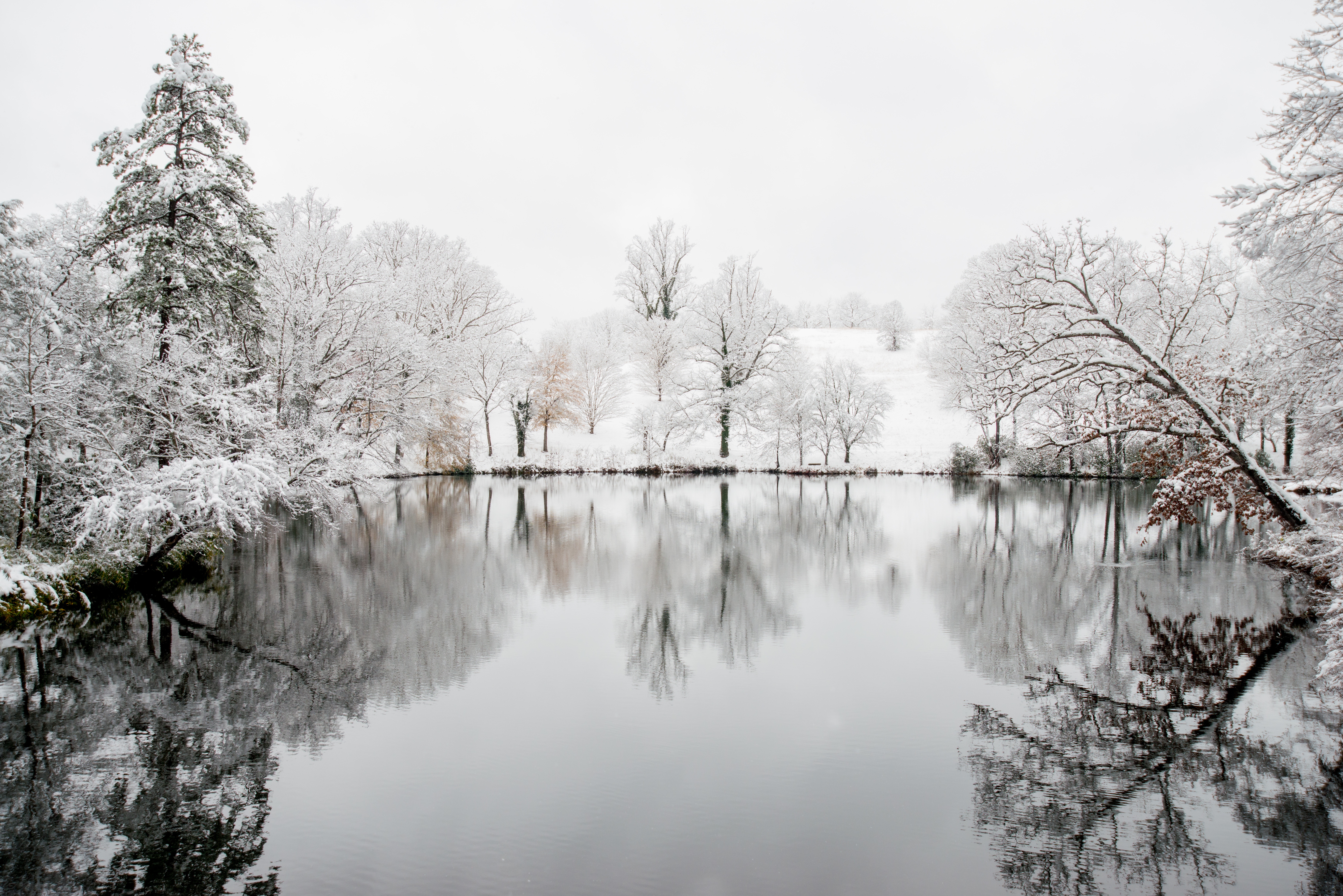 Snowy forest reflected in a calm pond HD Wallpaper