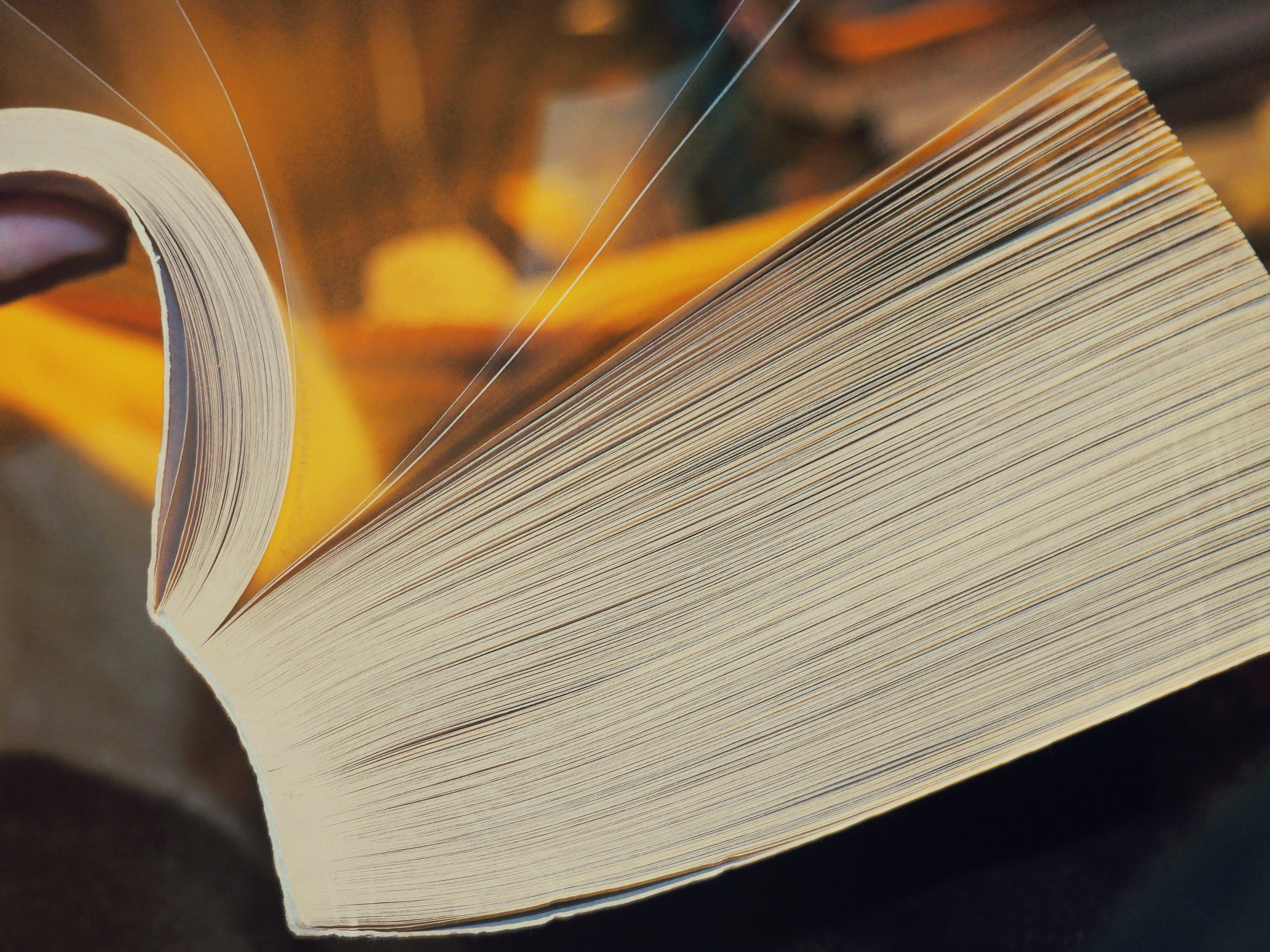 Open book with pages turning HD Wallpaper
