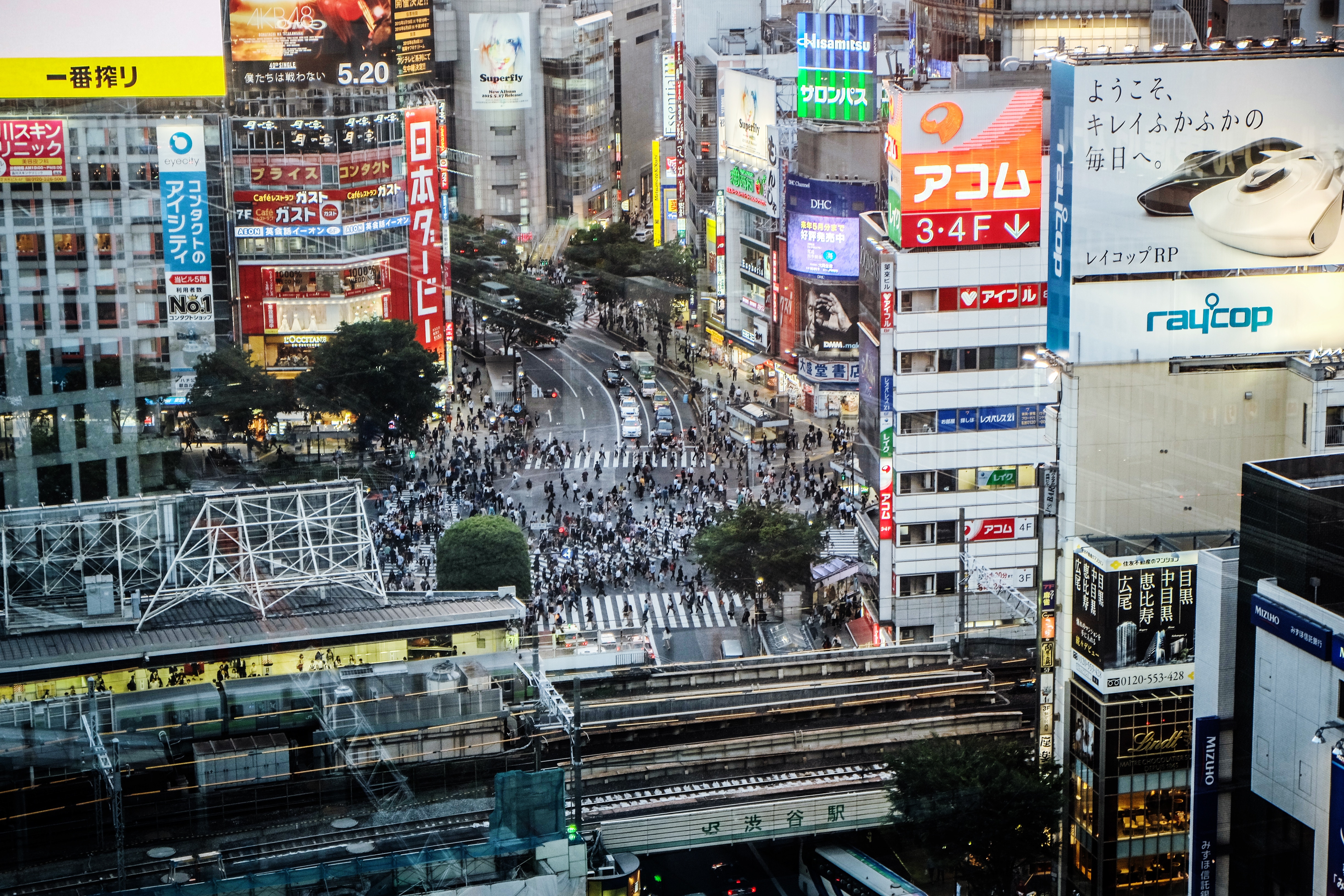 Shibuya Crossing, Tokyo, Japan HD Wallpaper