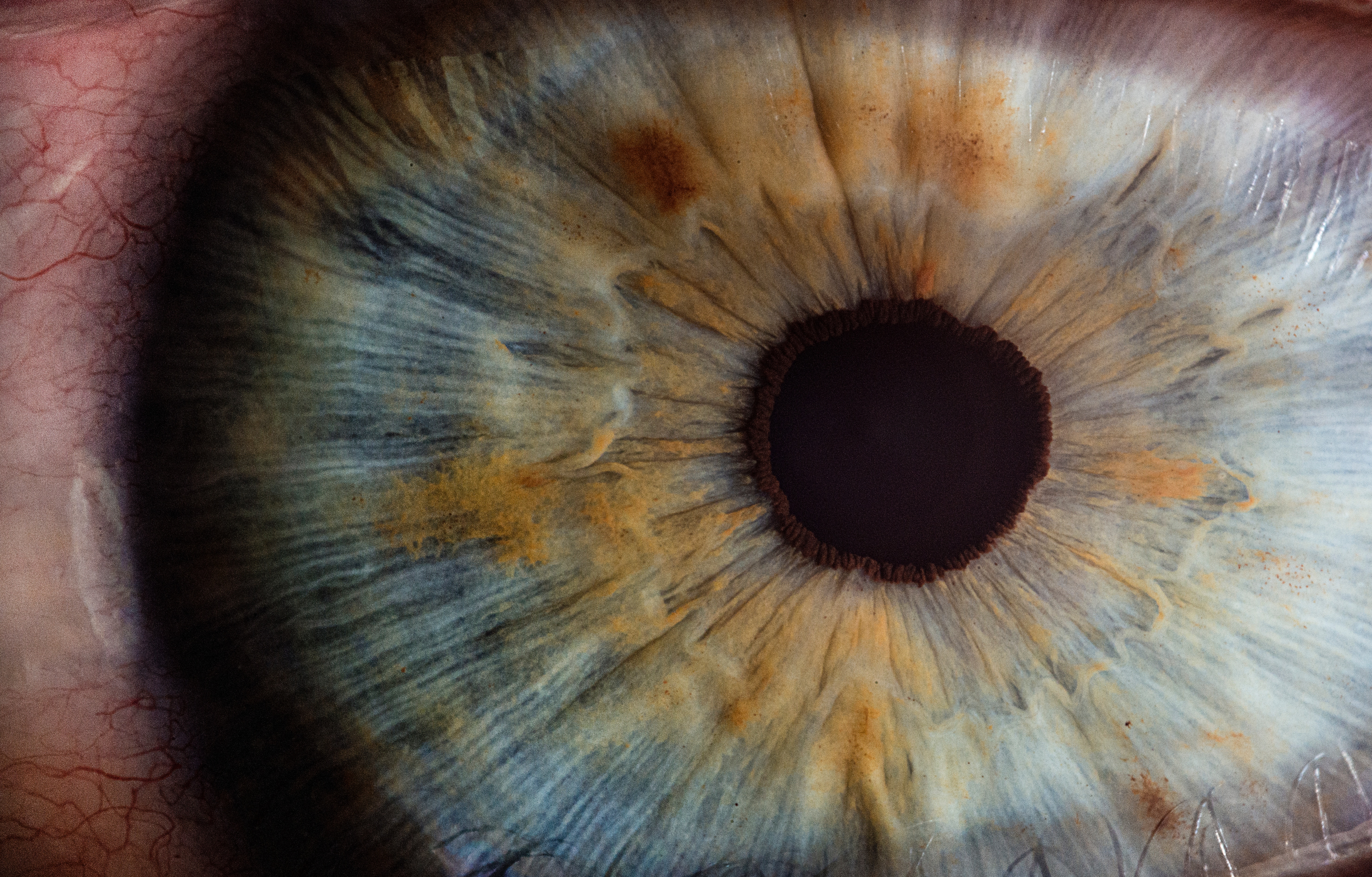 Close-up macro photography of a human eye iris HD Wallpaper