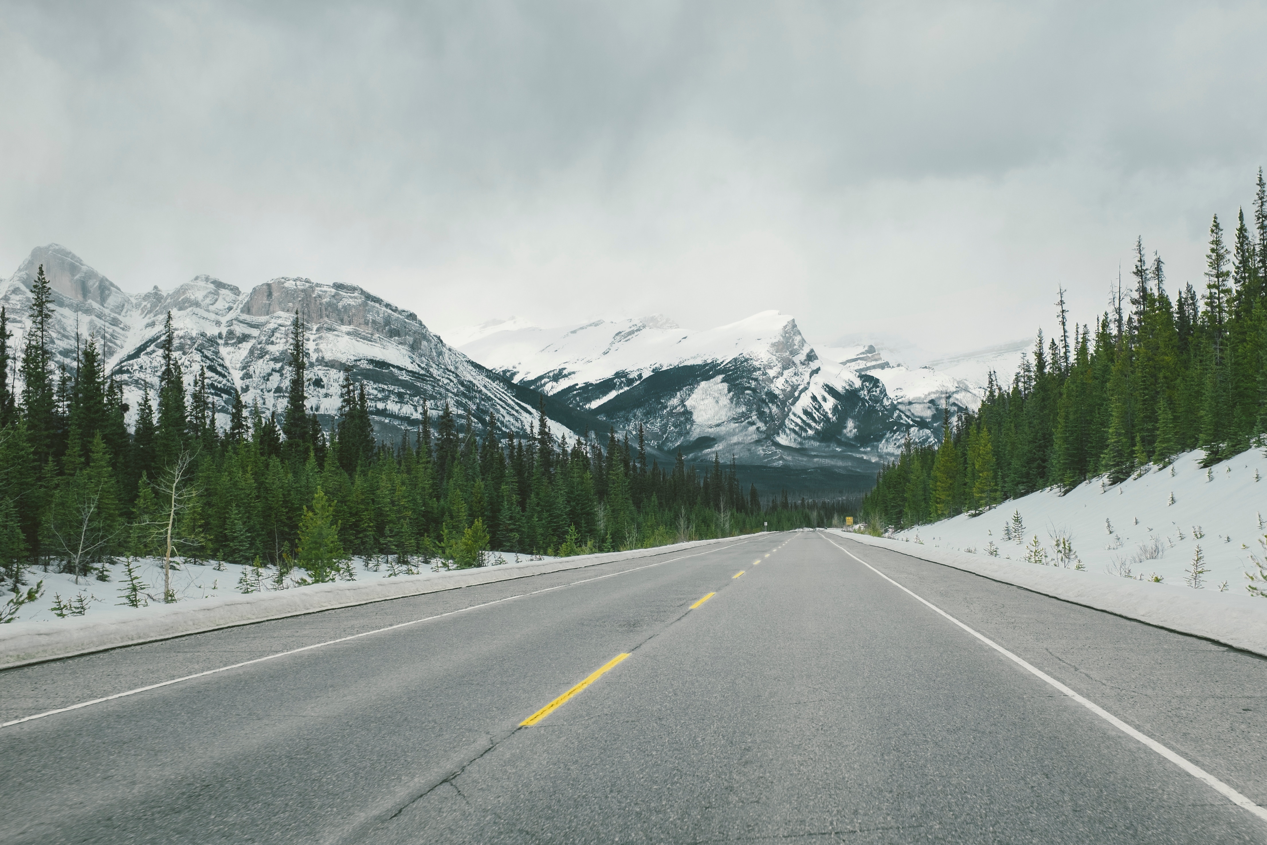 Road through snowy mountains and forest in Jasper, Canada HD Wallpaper
