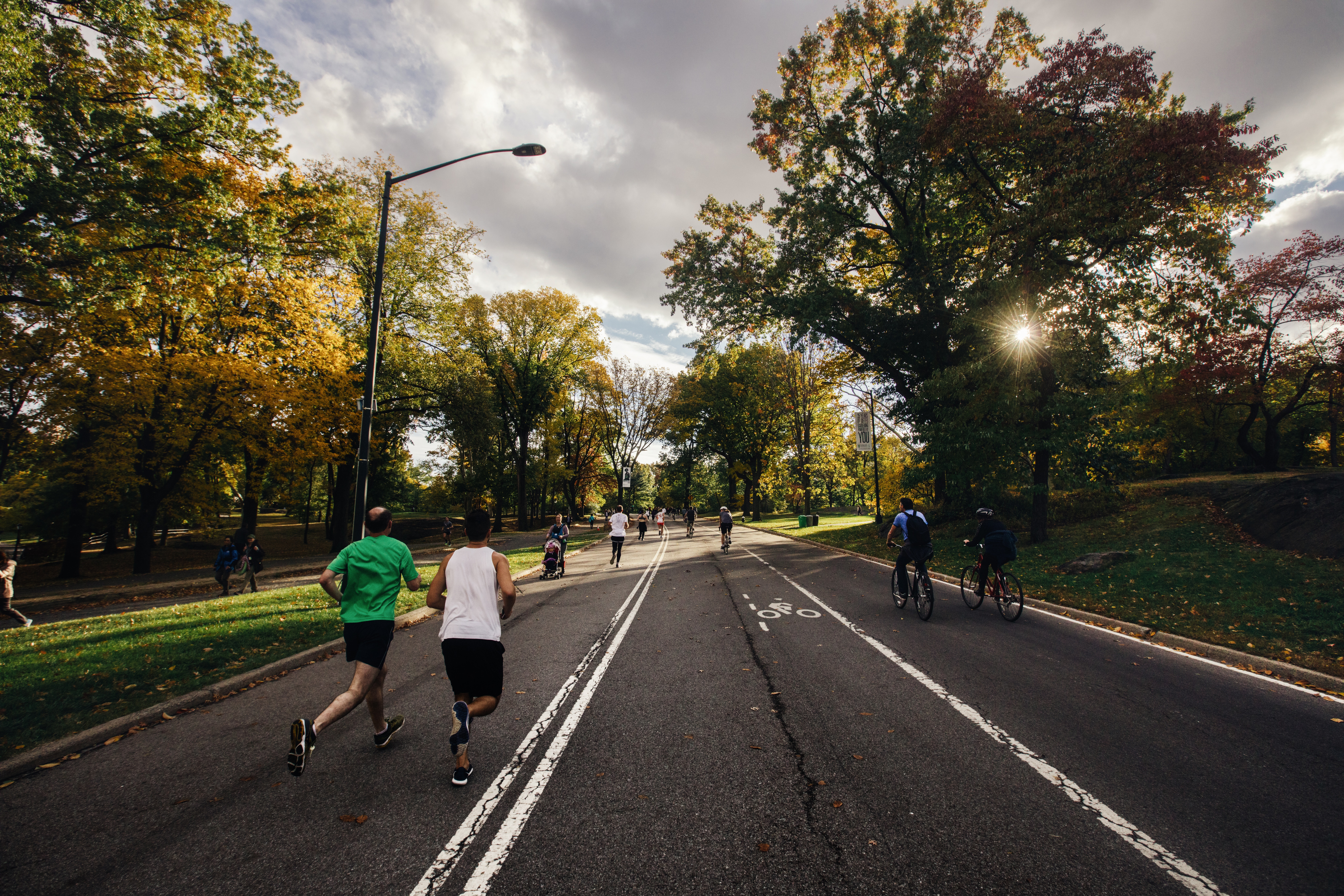 People running and cycling in a park during autumn HD Wallpaper