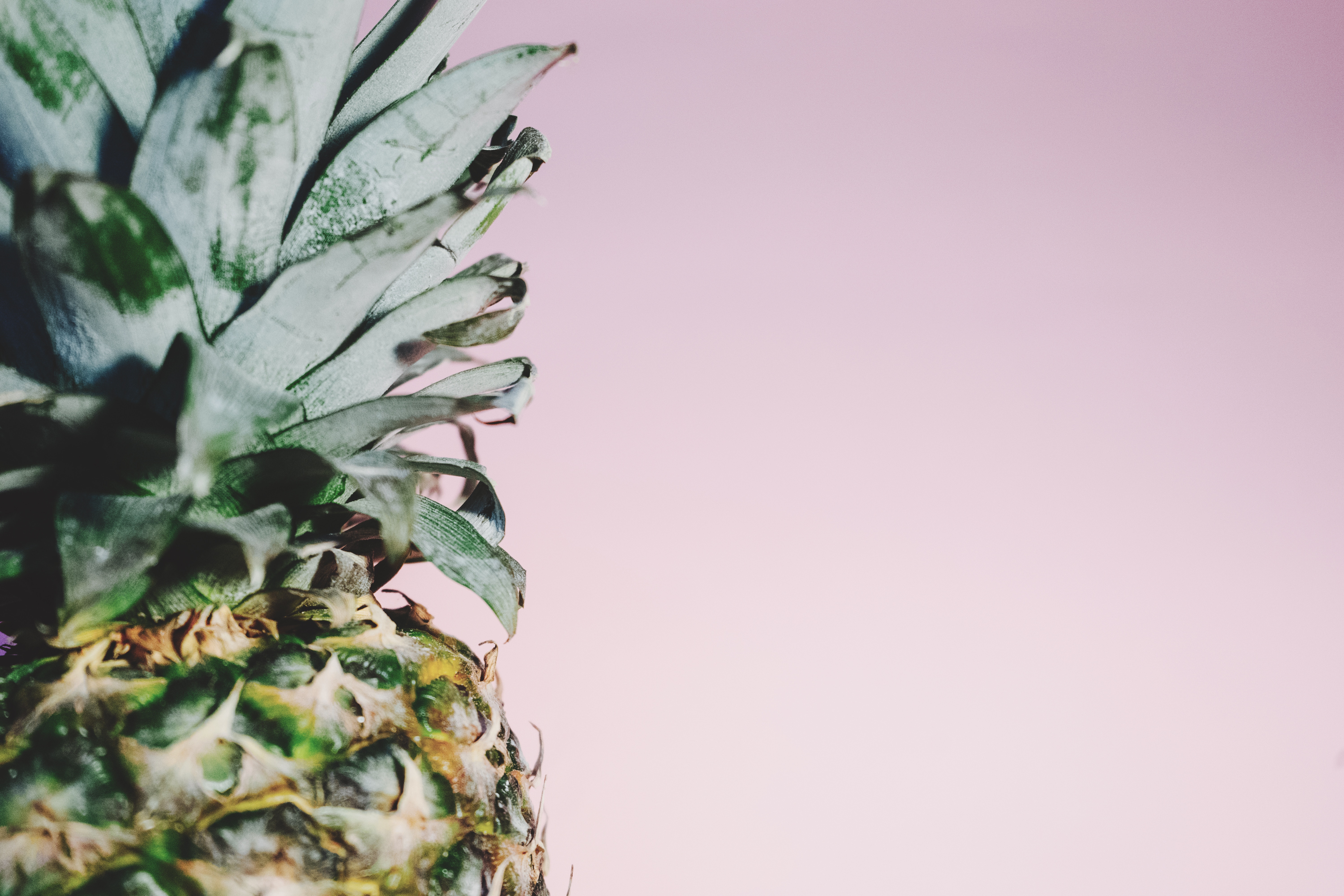 Close up of a pineapple with green leaves HD Wallpaper