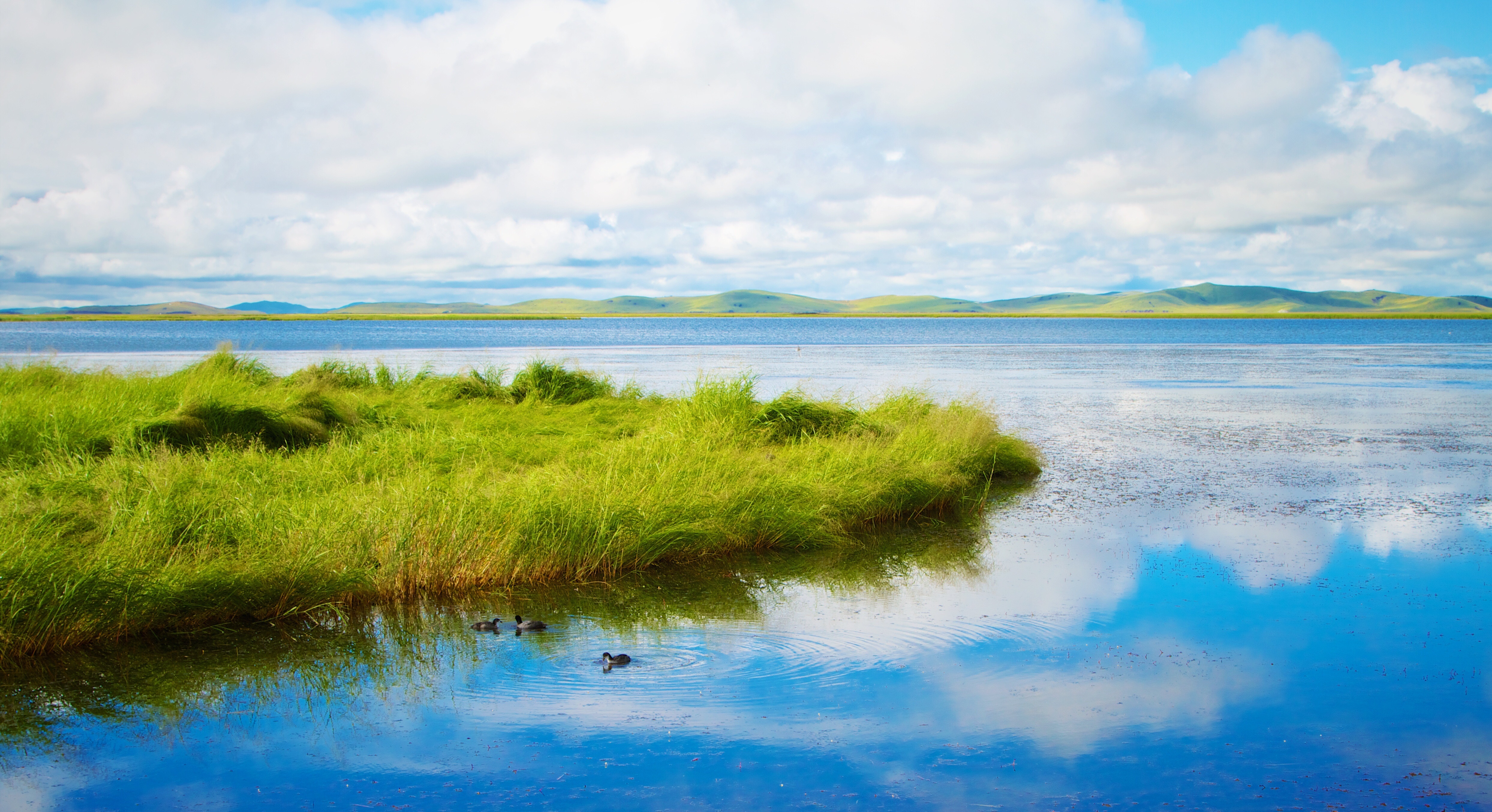 A serene lake with green grass and distant hills under a cloudy sky. HD Wallpaper