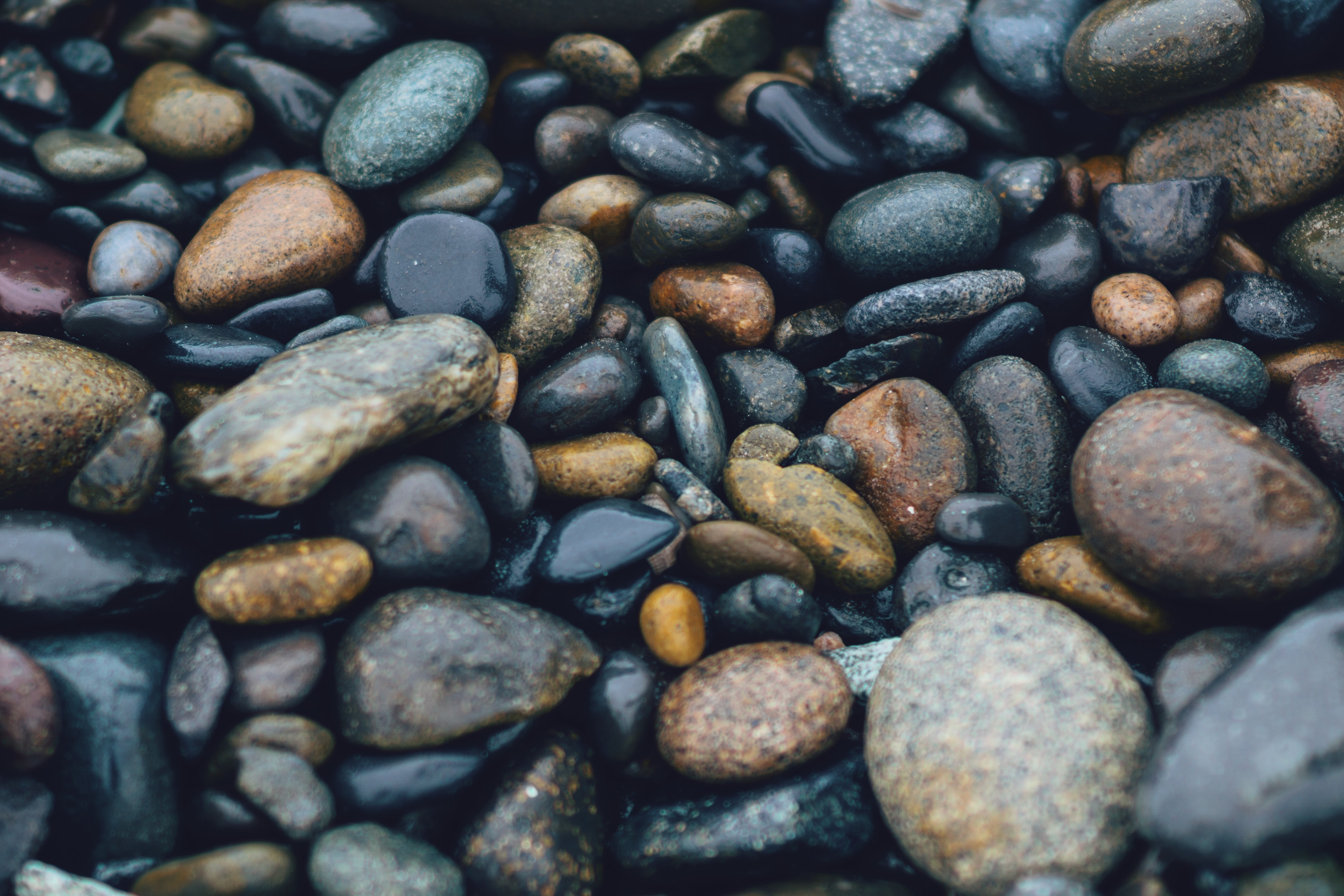 Wet colorful beach pebbles and stones HD Wallpaper