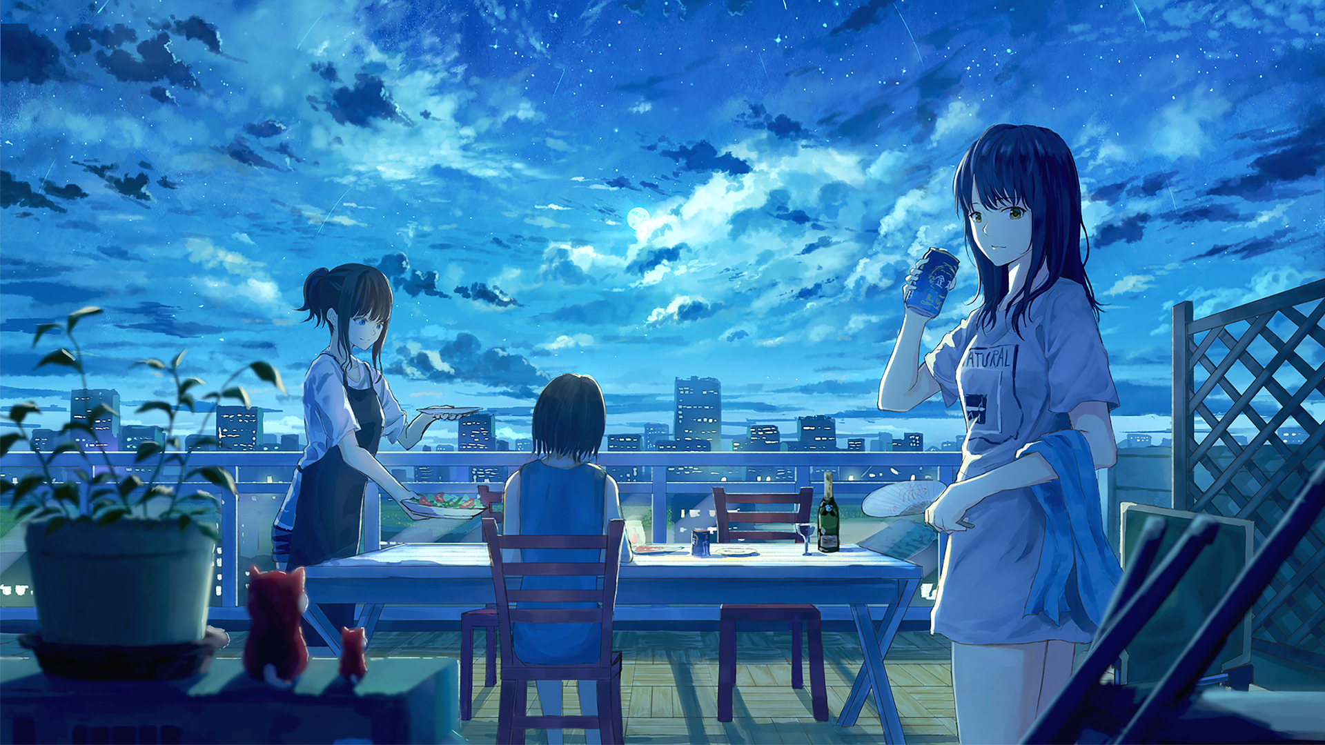 Anime girls on a rooftop at night HD Wallpaper