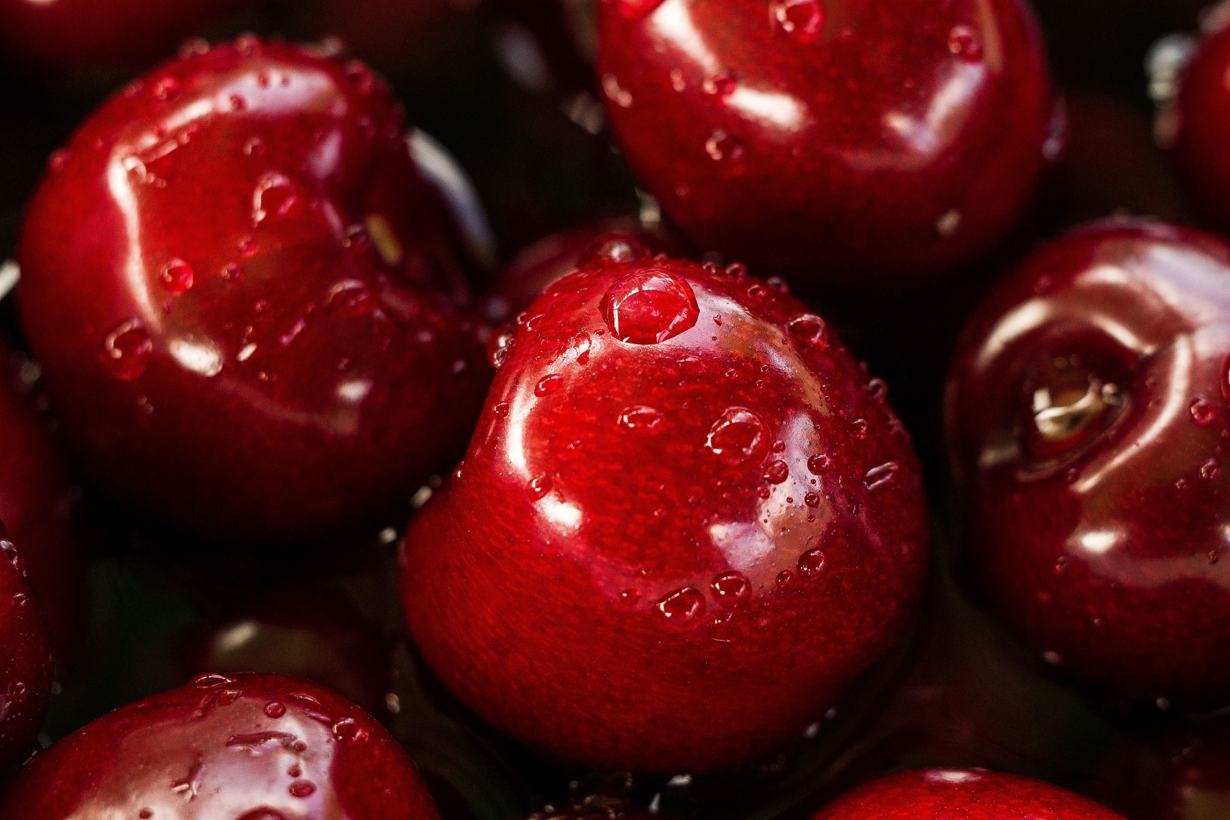 Close-up of wet red cherries with water drops HD Wallpaper
