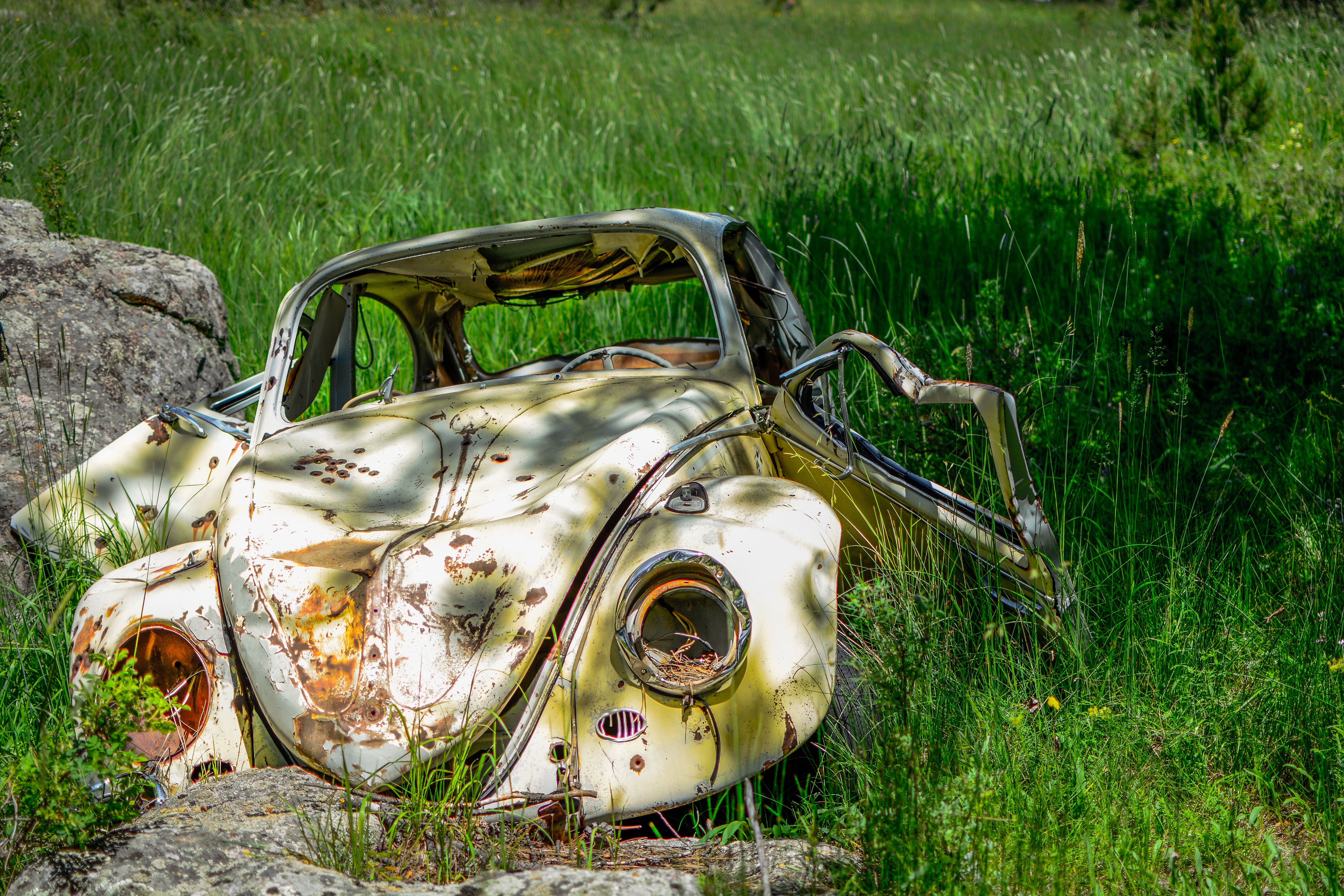 Abandoned rusty Volkswagen Beetle in a grassy field HD Wallpaper