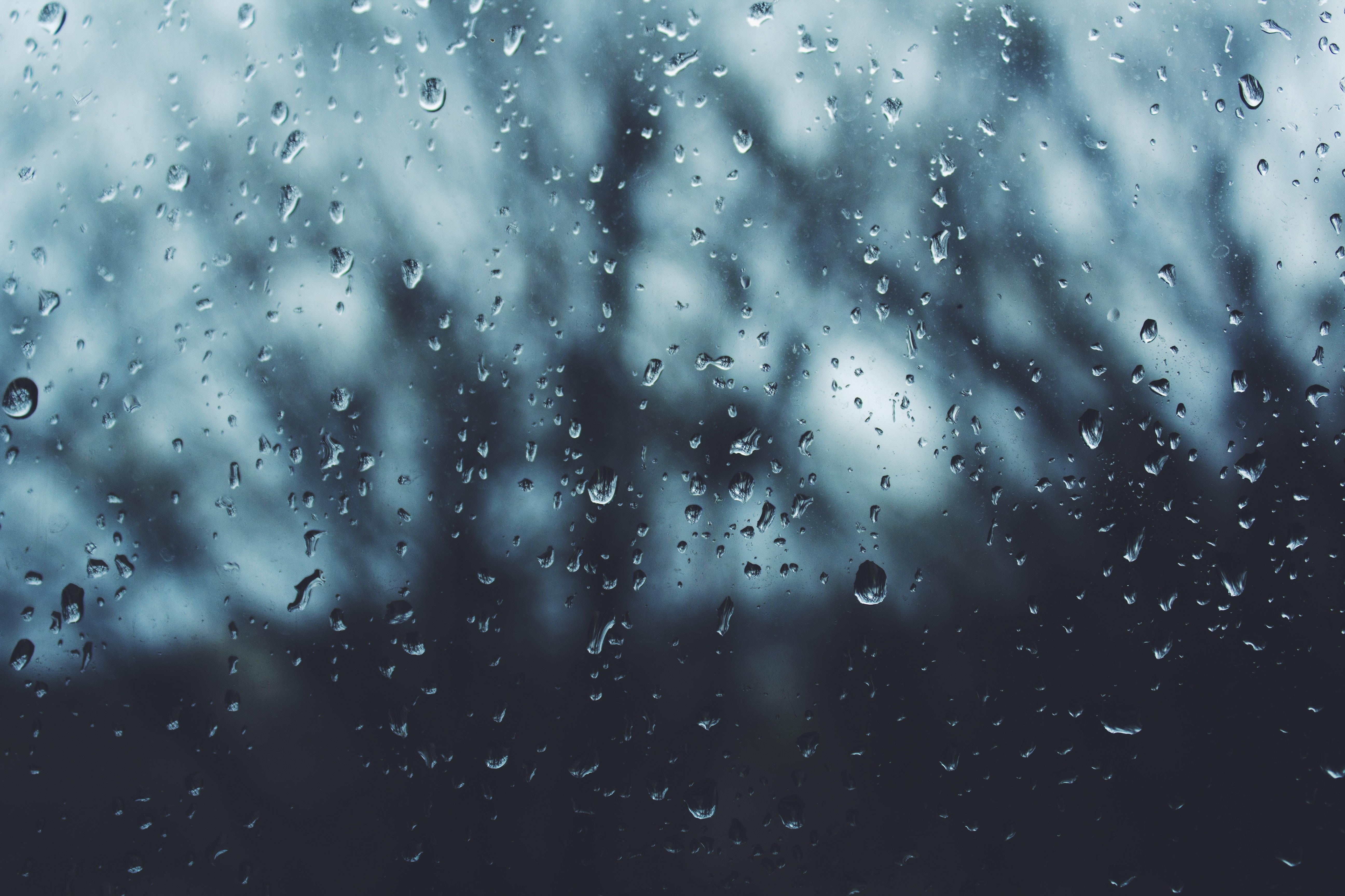 Raindrops on a window with blurred trees in the background HD Wallpaper