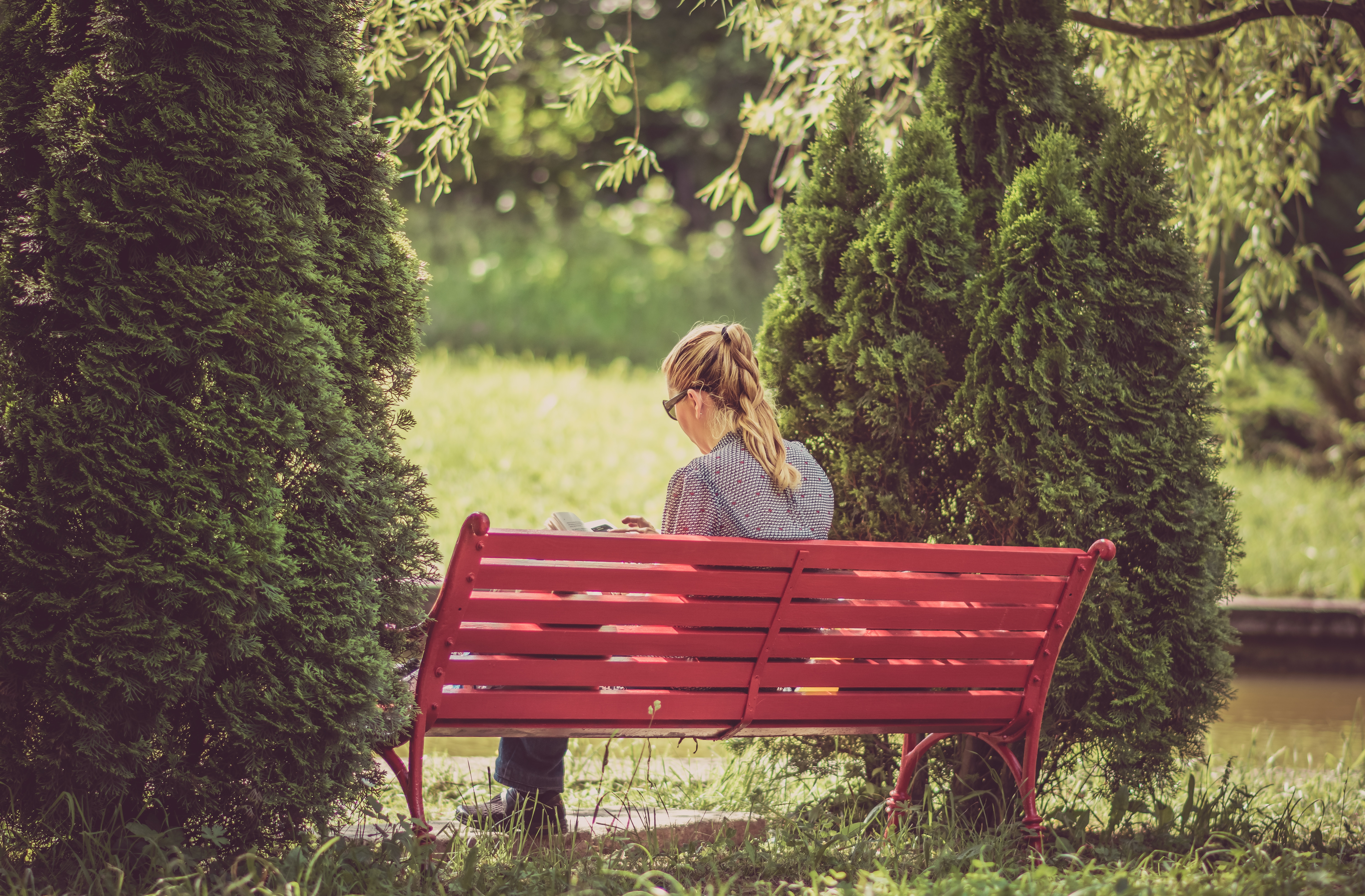Woman reading on a red bench in a park HD Wallpaper