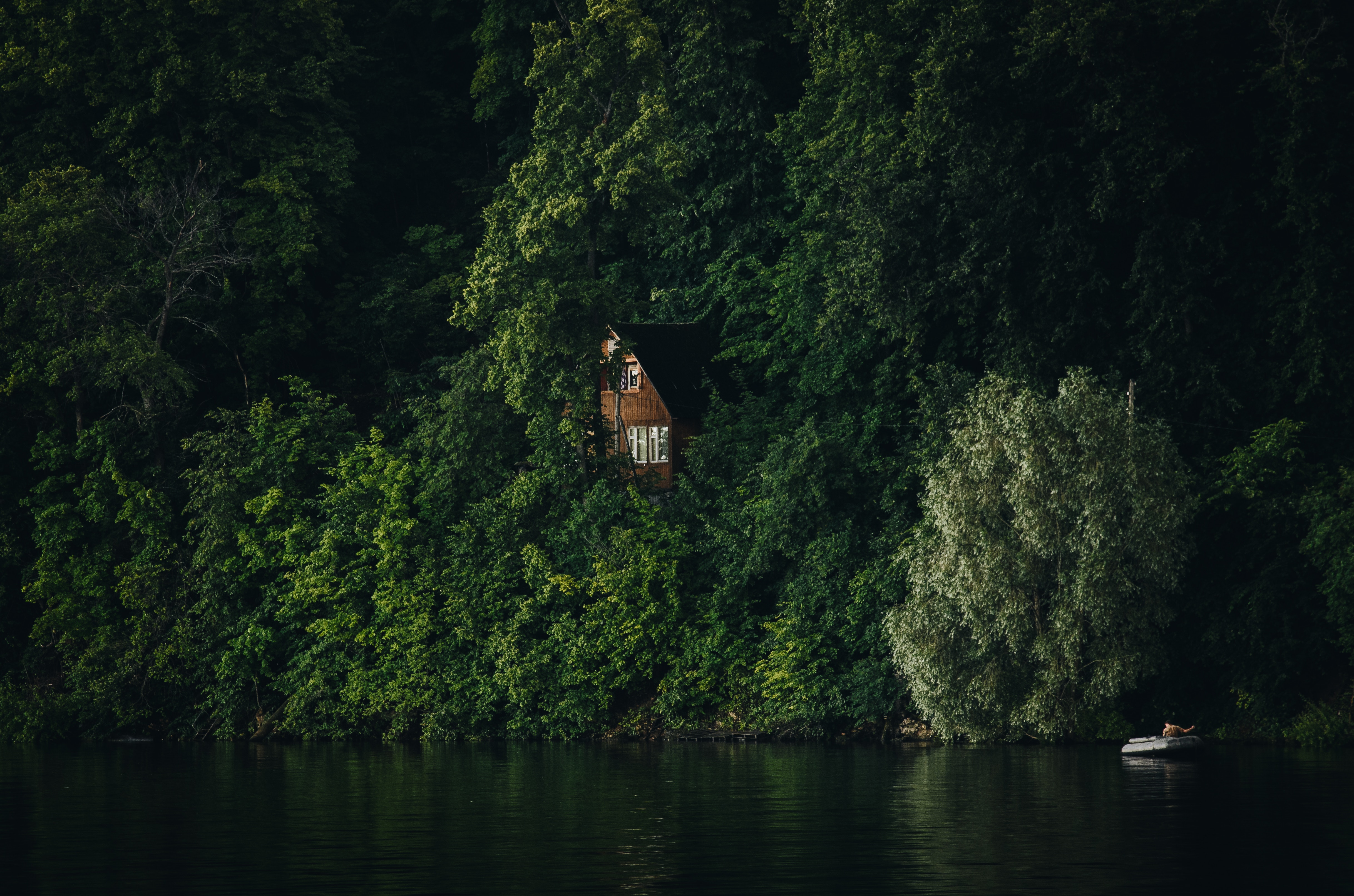 Wooden house surrounded by trees on a riverbank HD Wallpaper