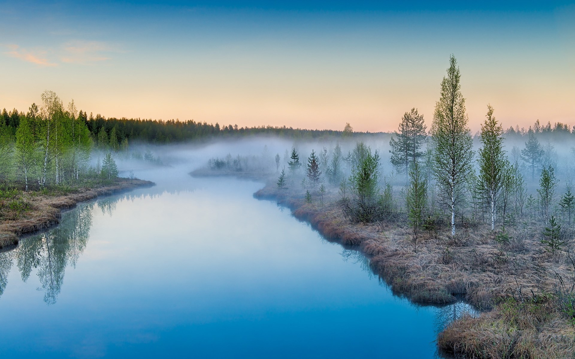 Misty river and forest at sunrise HD Wallpaper